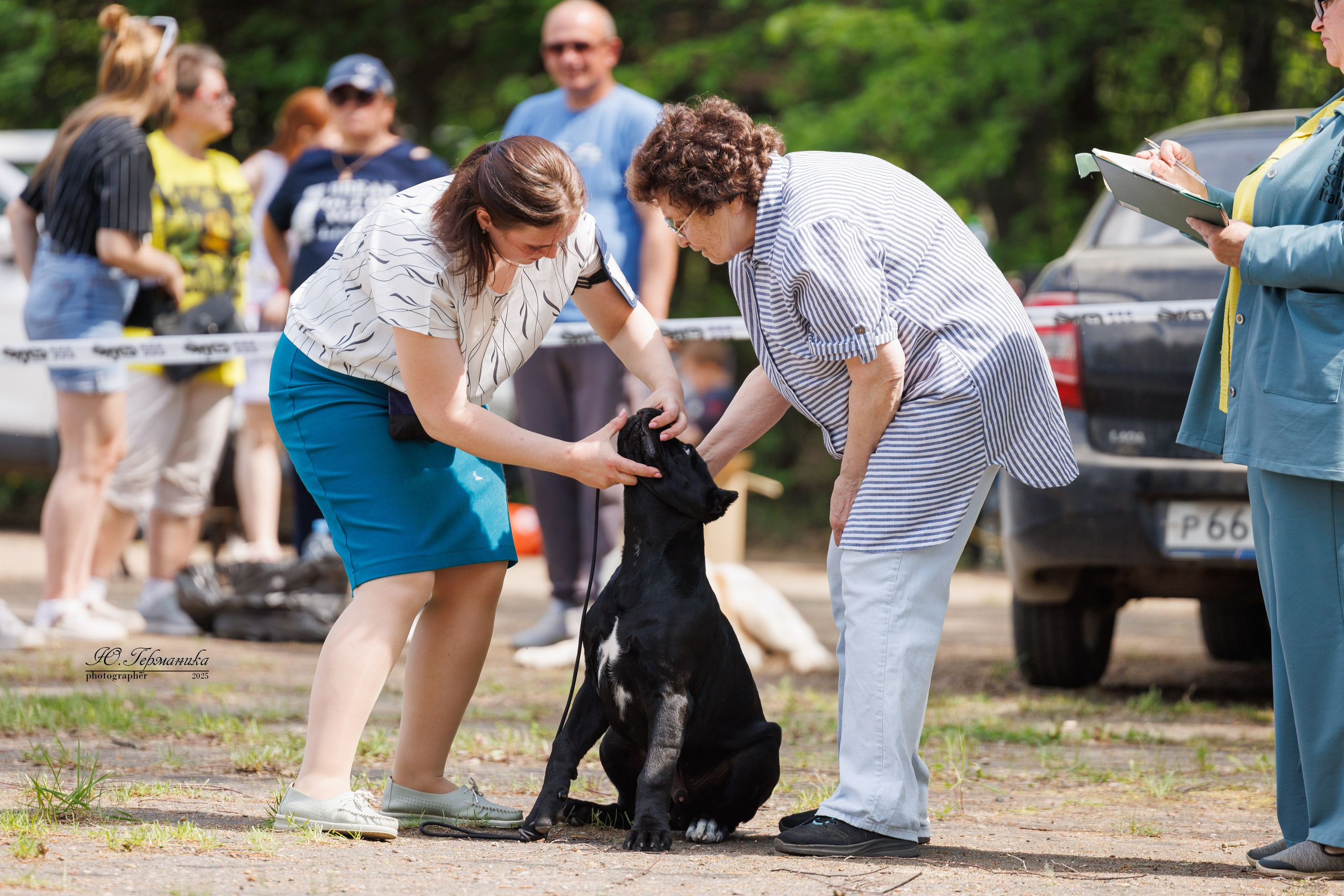 Тверь 24.05.2025. Фотограф-анималист Юлия Германика