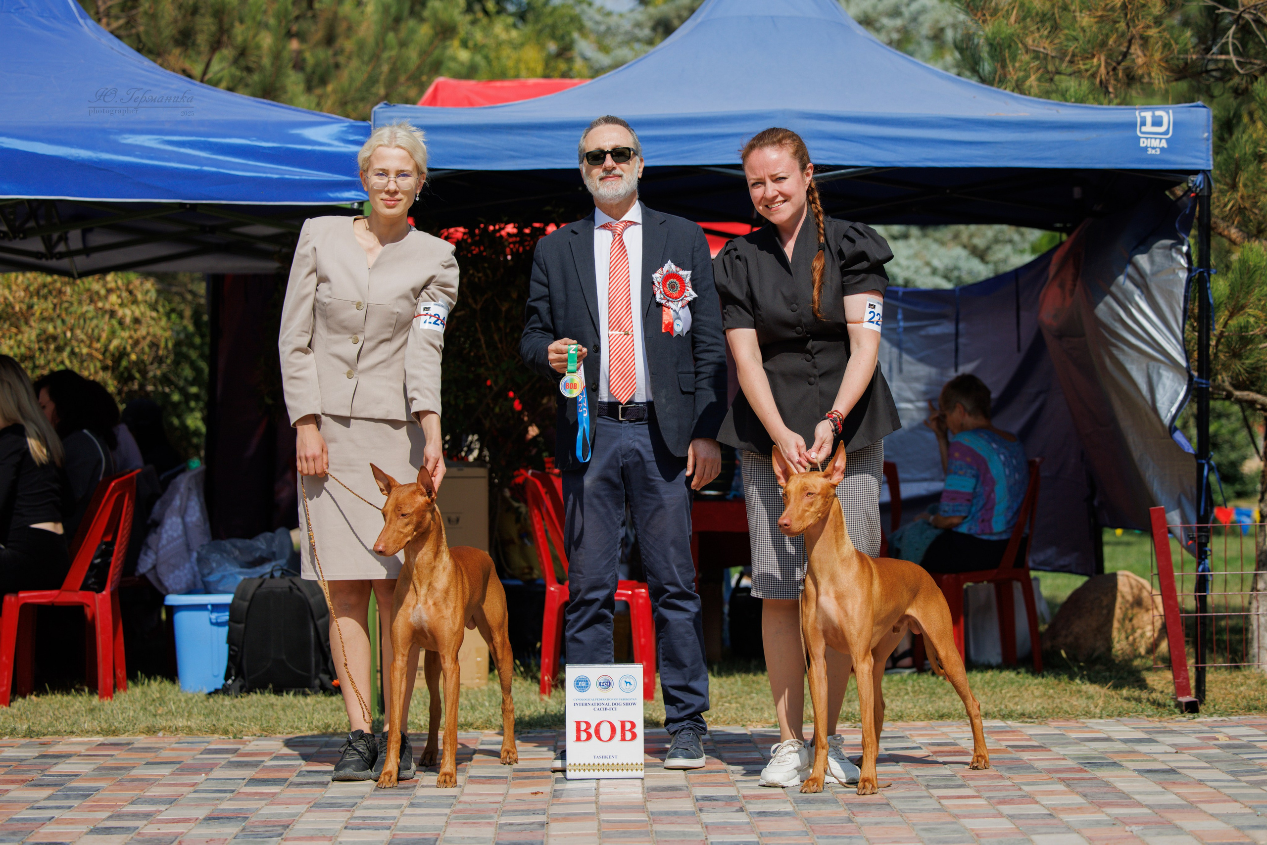 Ташкент 3хCACIB 3-5.10.2025. Фотограф-анималист Юлия Германика