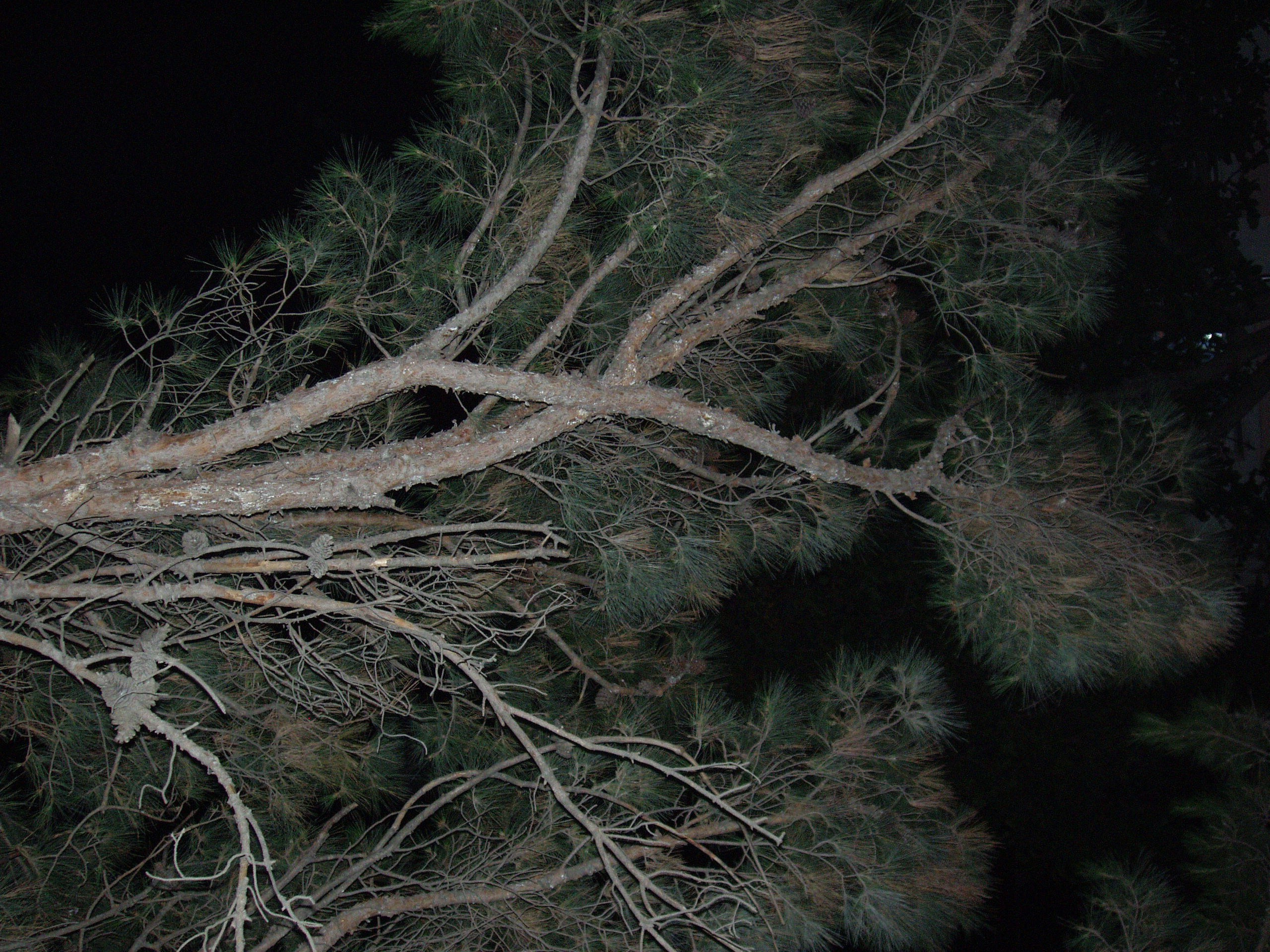 Отпуск 13.07-24.08. Семейный, Свадебный фотограф СПБ Питер— Романова Екатерина