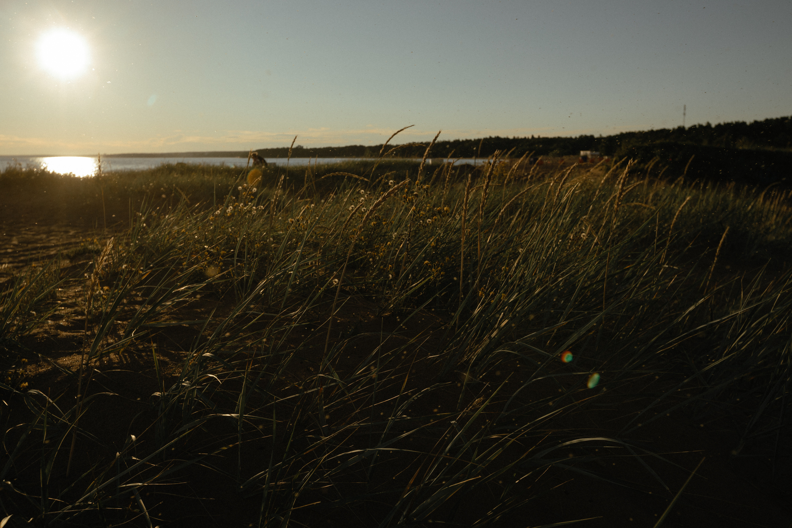 Даша и Влад. Свадебный фотограф Таня Караисаева