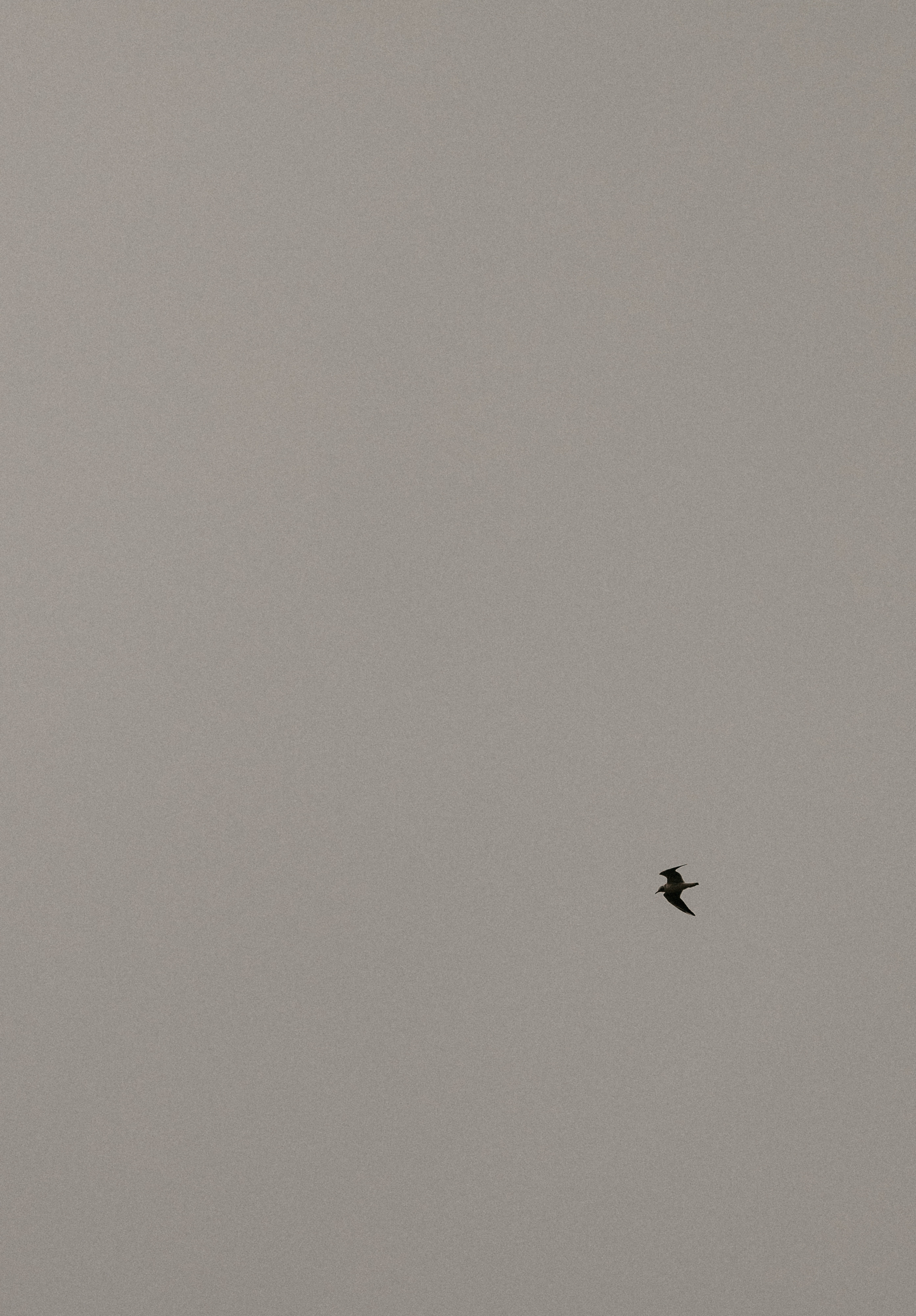 Анастасия & Илья. Свадебный фотограф Таня Караисаева