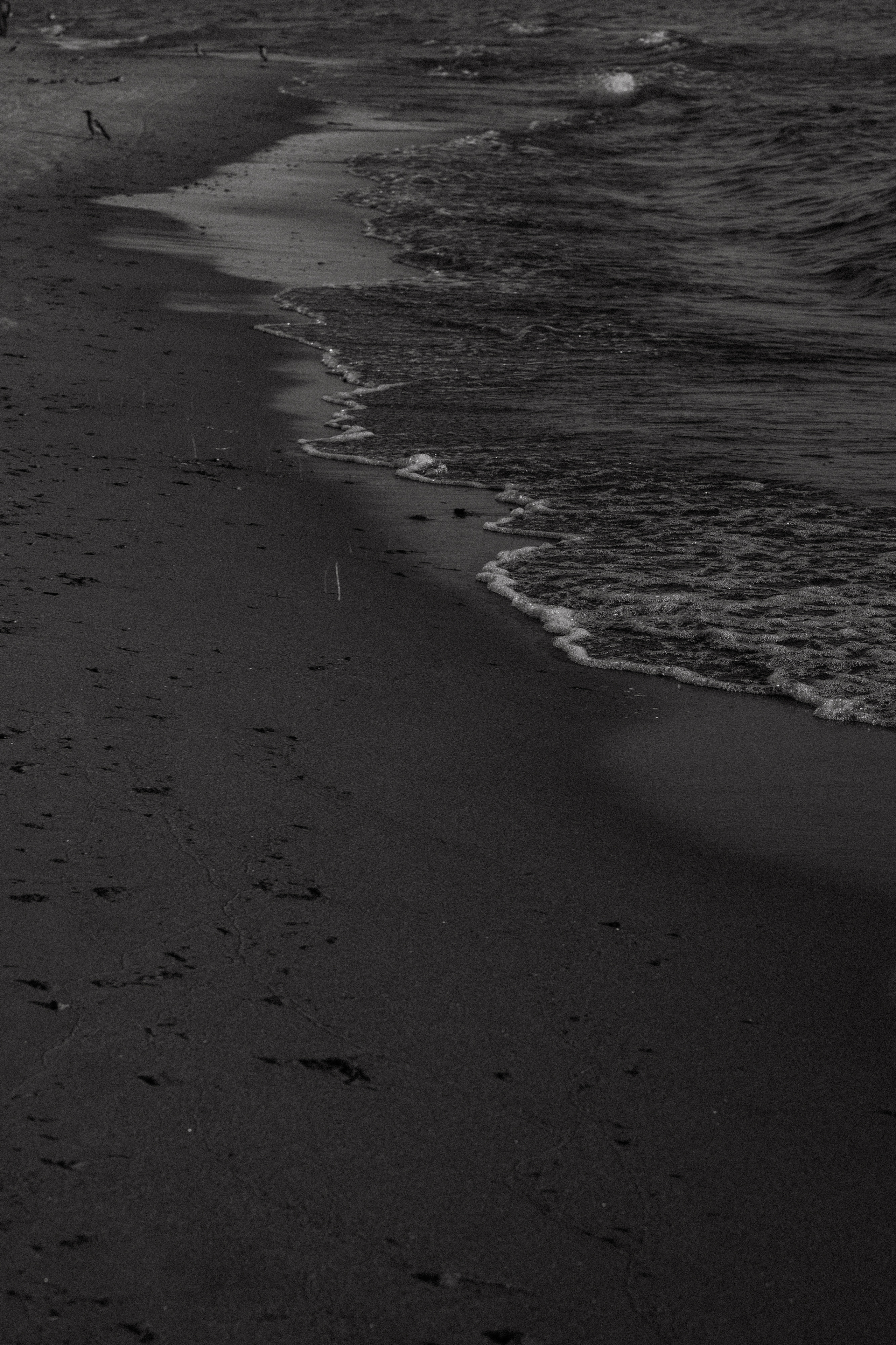 Даша и Влад. Свадебный фотограф Таня Караисаева