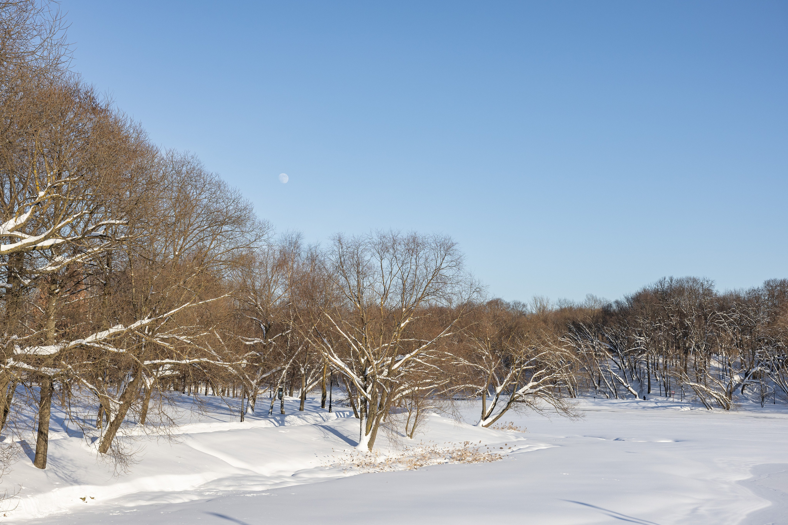 Природа. Фотограф Владимир Охрименко