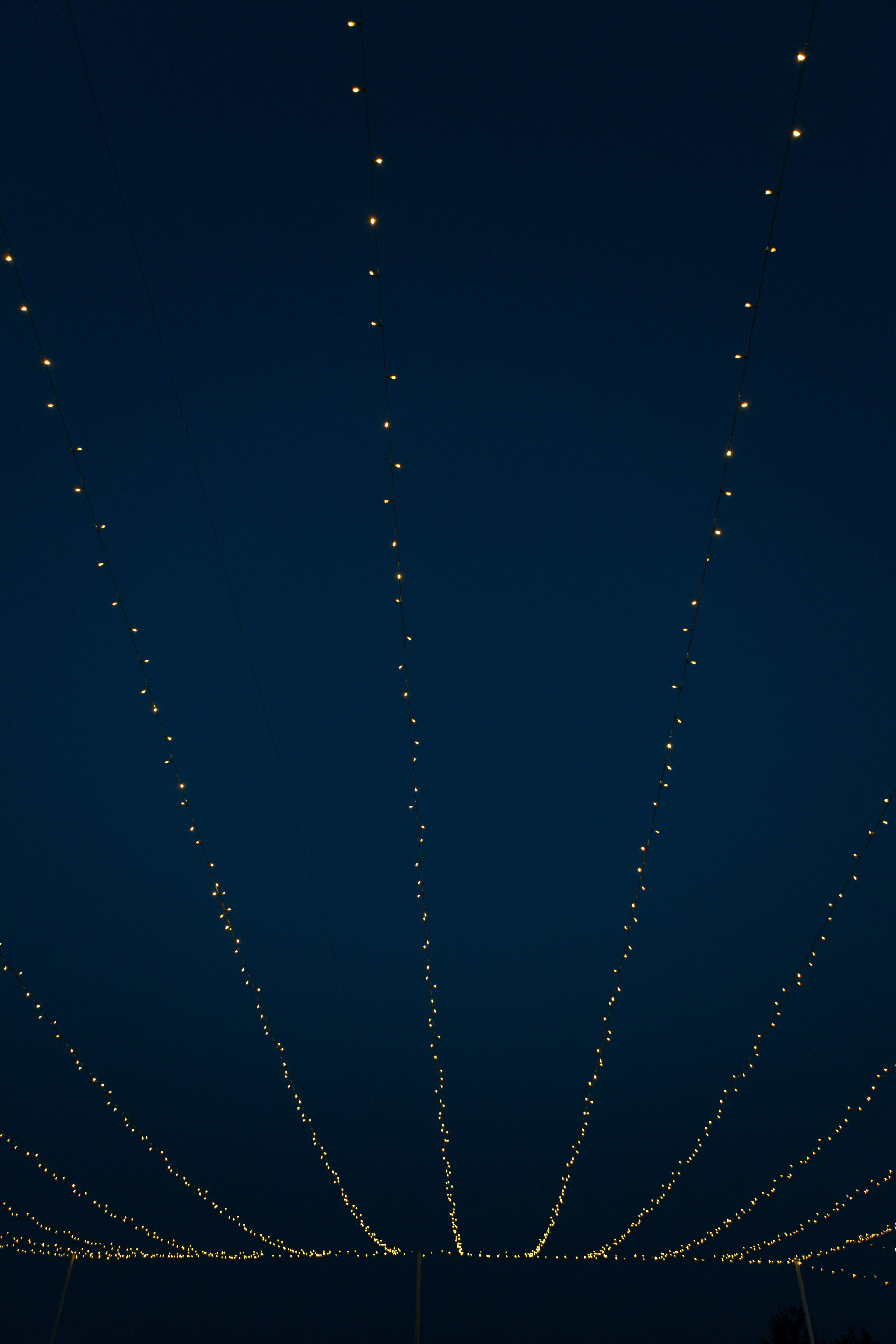 Свадебный фотограф в Ростове-на-Дону — Свадьба Игоря и Алены в гольф-клубе «Дон». Свадебный фотограф Ростов на Дону / Таганрог — Усачева Анастасия