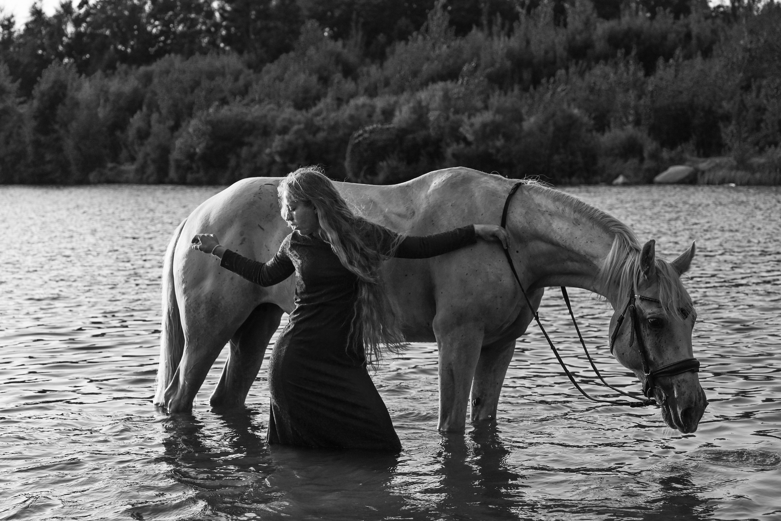 Конные портреты. Фотограф Зноева Ирина (Gvenya)