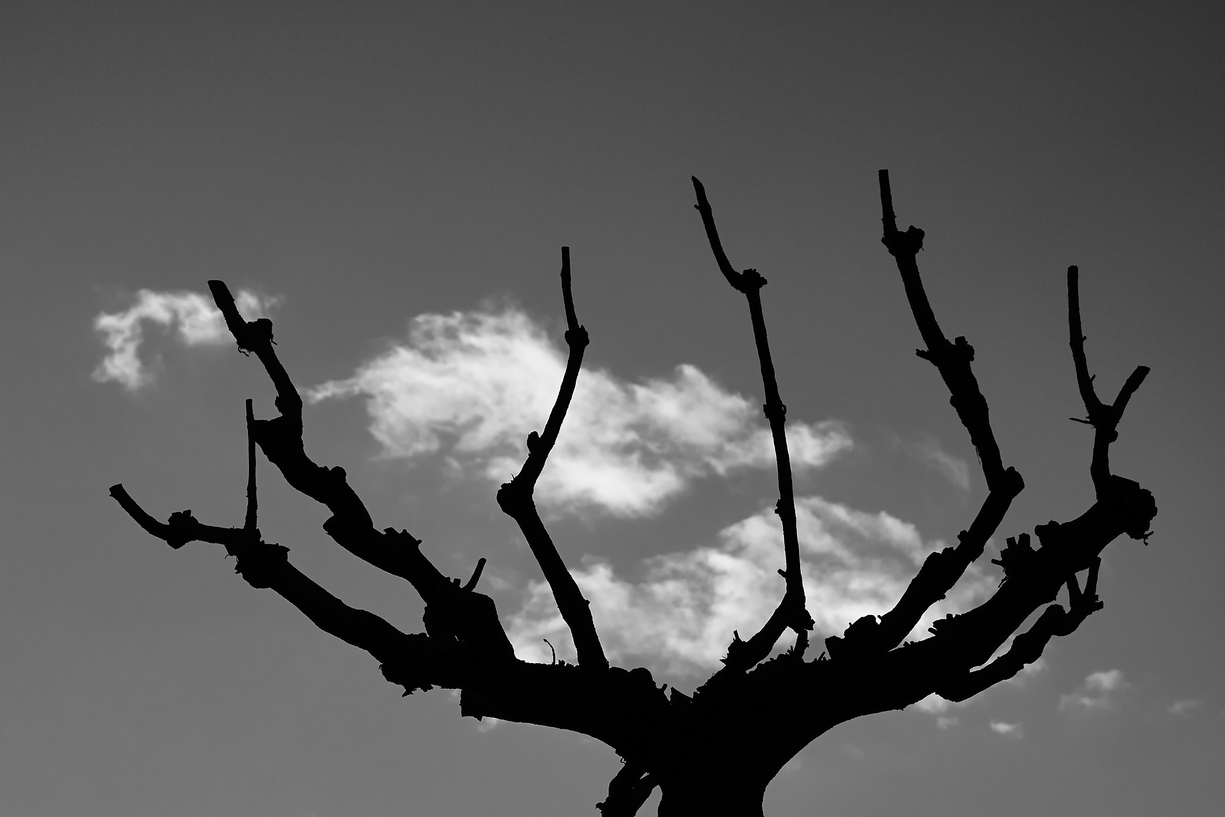 Черно белые фотографии Анапы. Профессиональный фотограф в Анапе Артем Ковальский