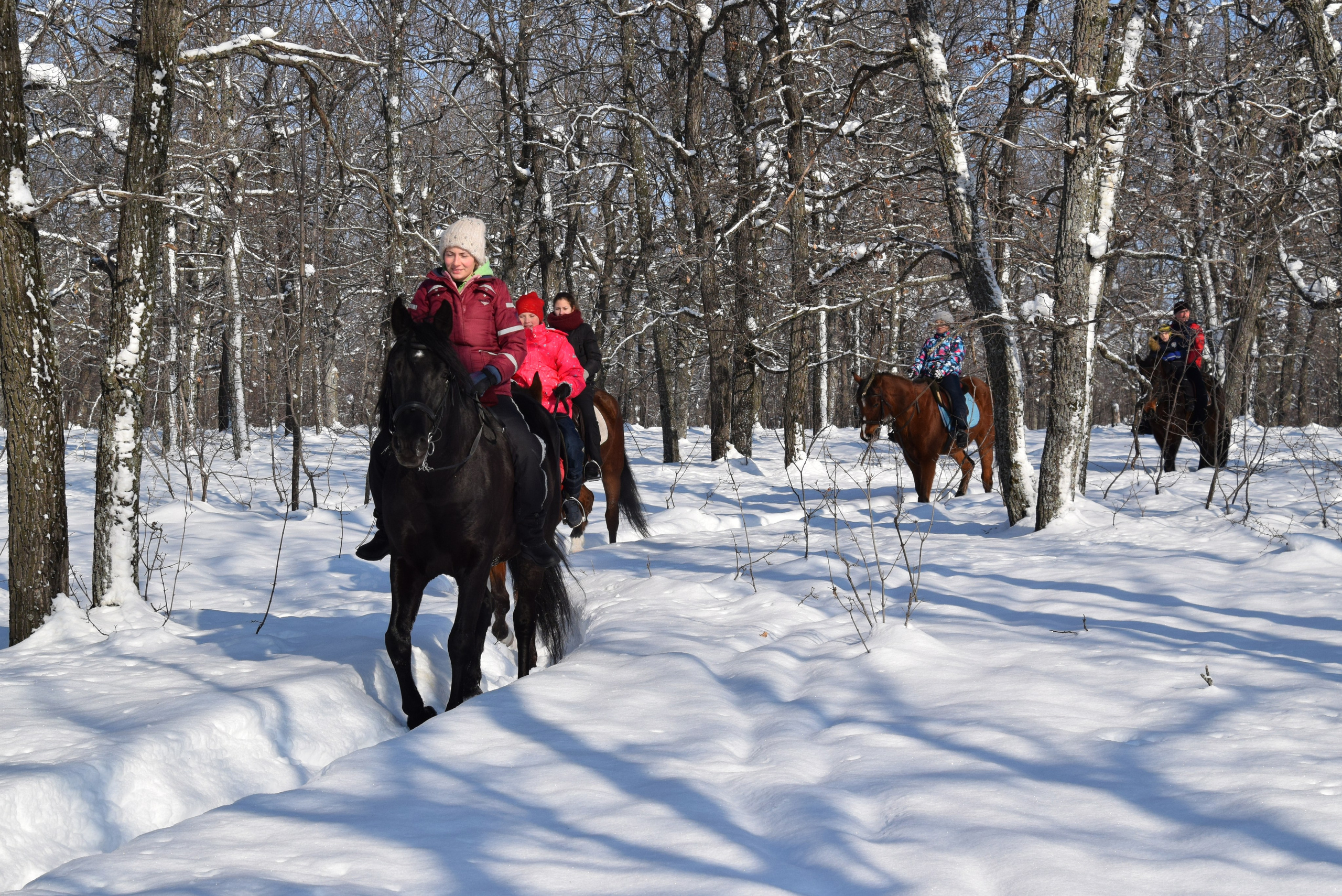 Конная прогулка. Конный фотограф в Саратове Юлия Иванова