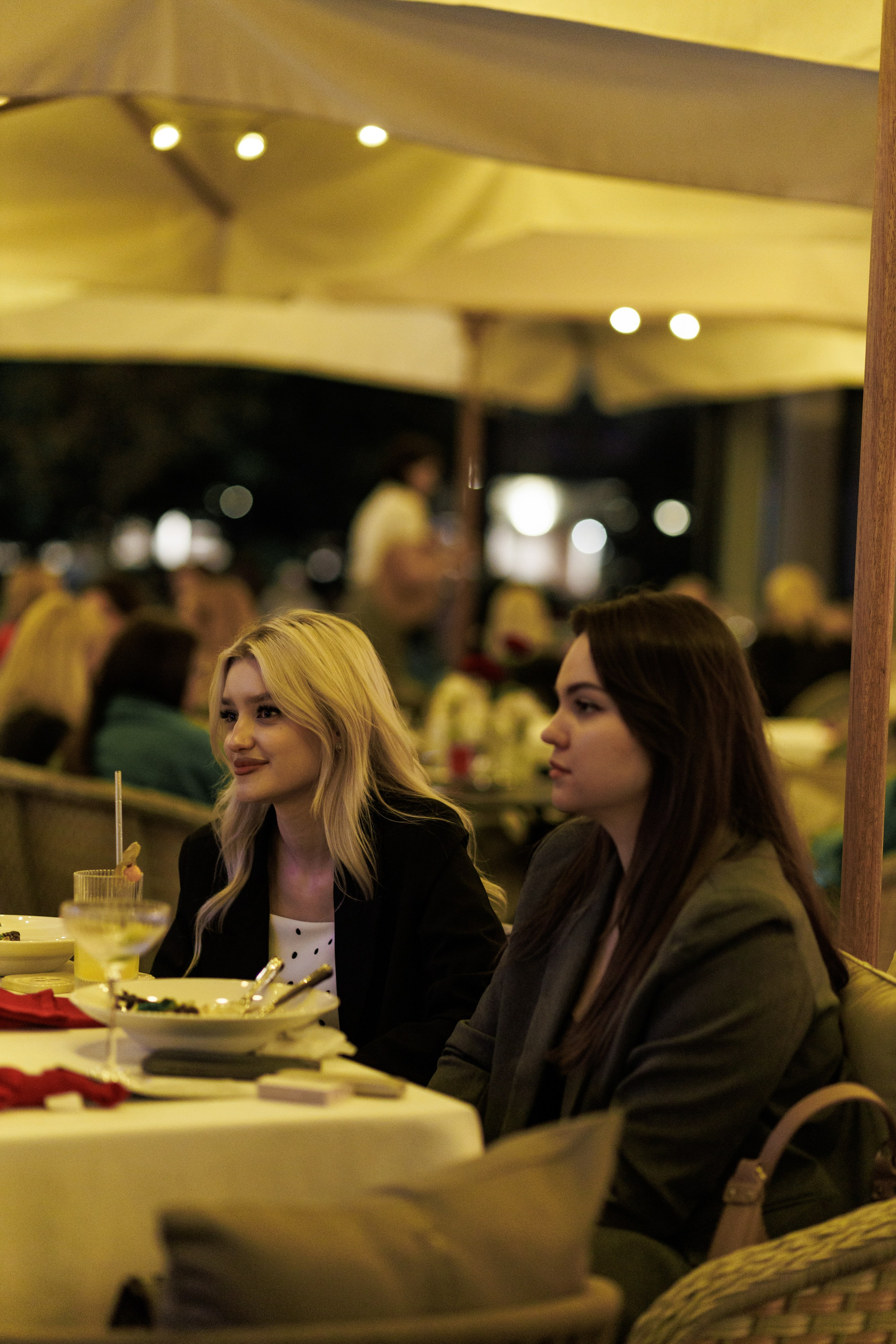 Бархат открытие летней веранды. Https://andreysolodov.ru