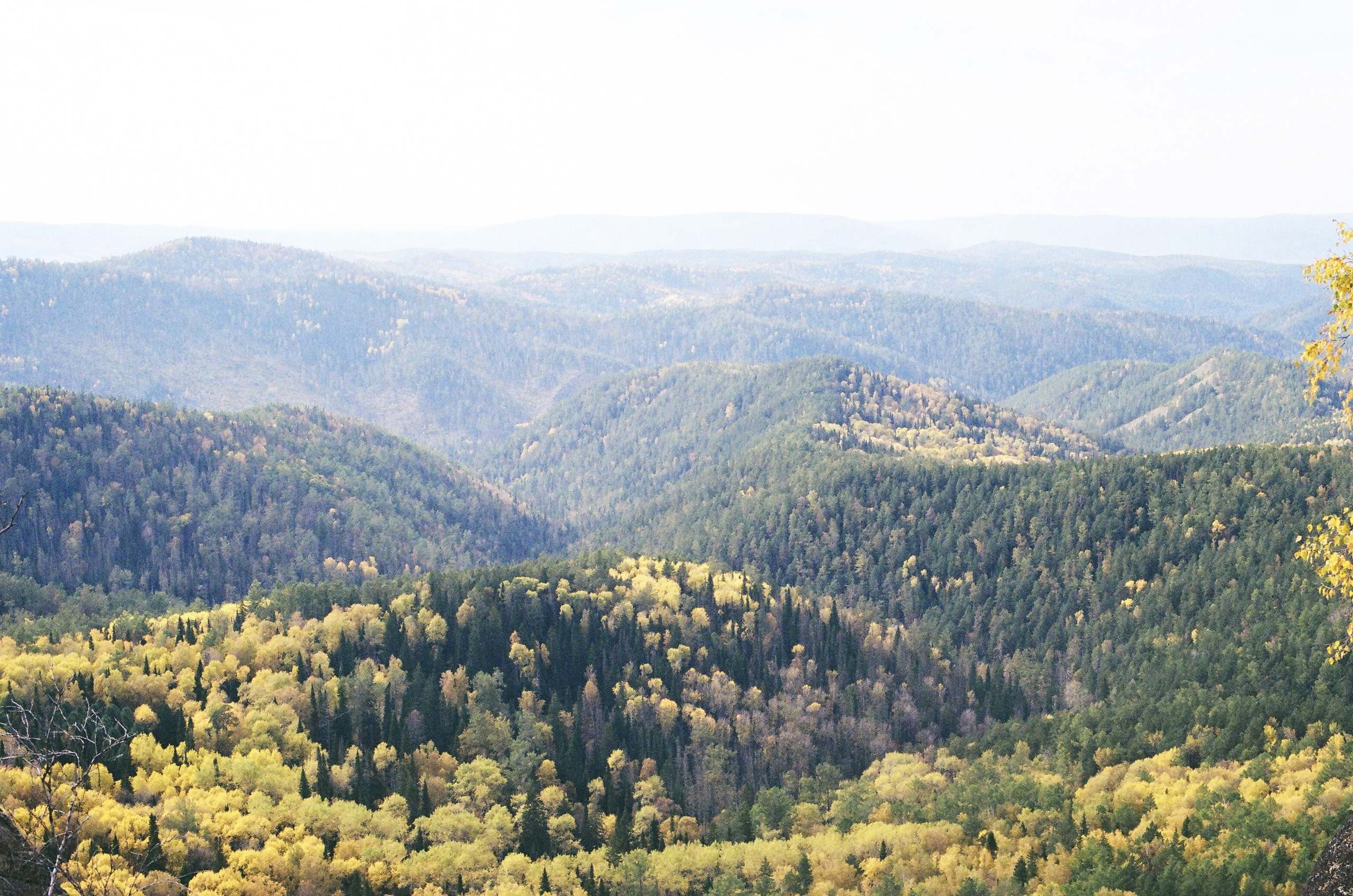 Spaces and faces 2013-∞. Наталья Рутова