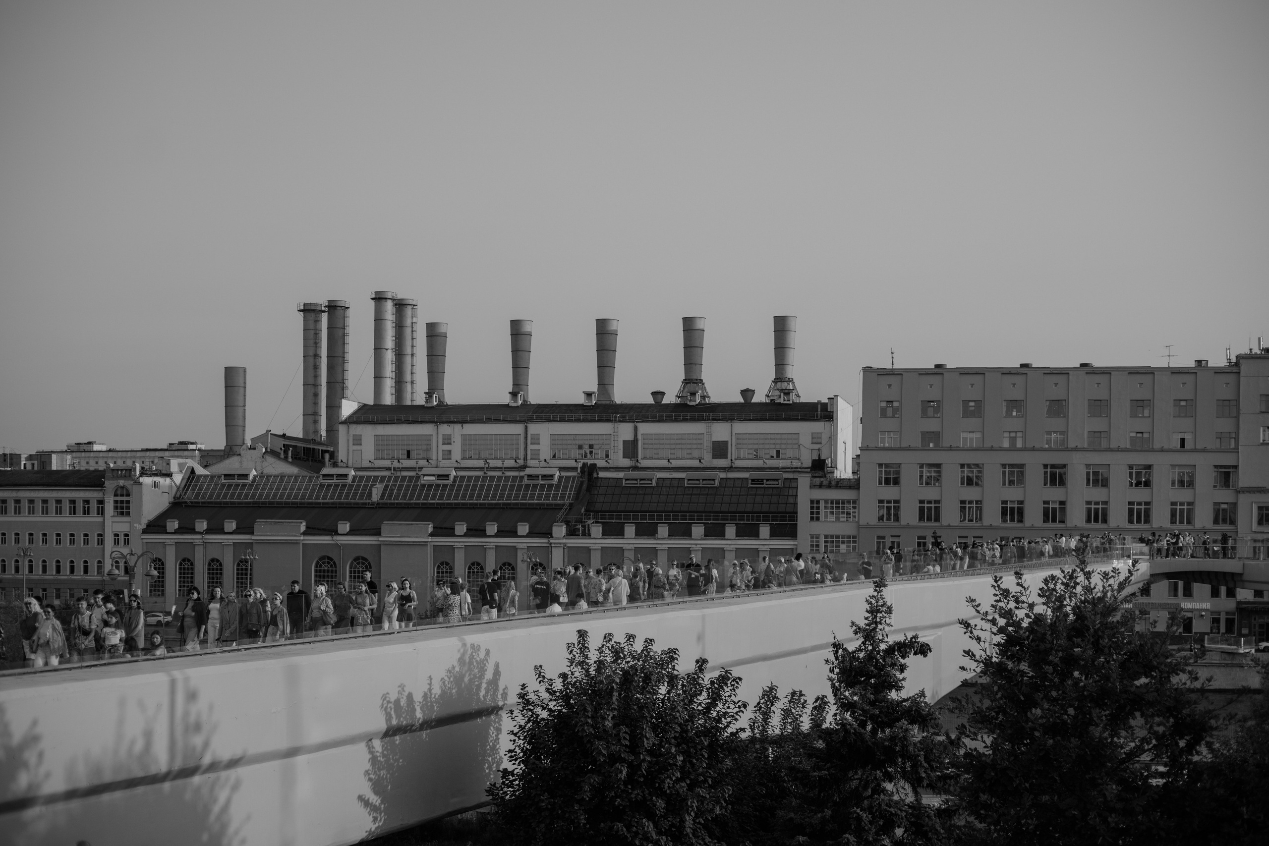 Модный показ. Парящий мост. Оформление свадеб, декор свадеб Вера Маркова, Москва