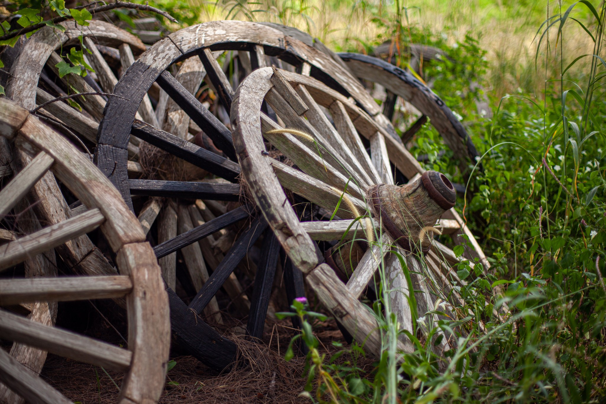 Находка в Таиланде, 2011. Фотограф Василий Буланов