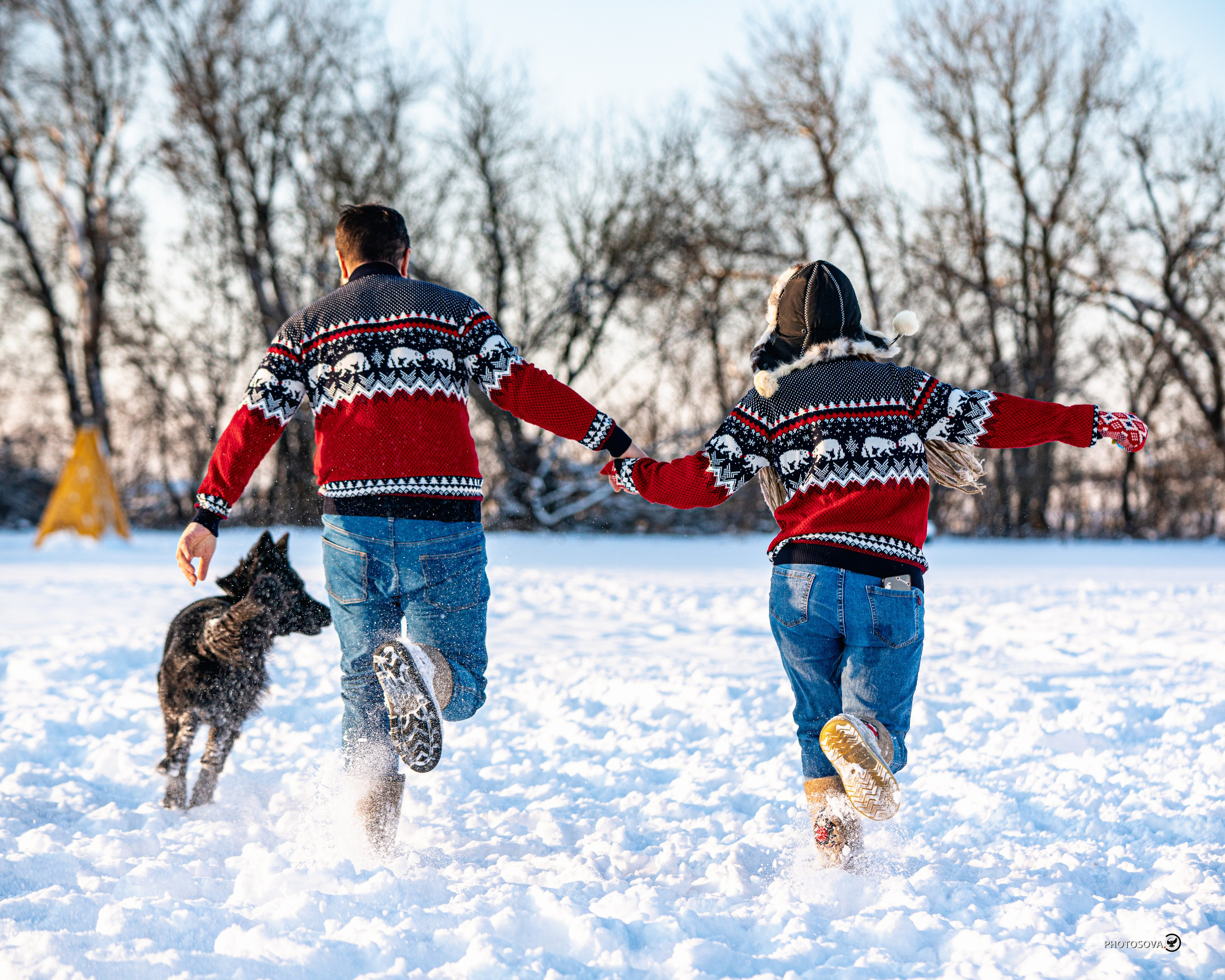 ФОТОПАМЯТЬ ВАШИХ ЭМОЦИЙ. Фотограф-анималист, семейный фотограф в Москве и Подмосковье. Фотосъёмка кинологических дисциплин