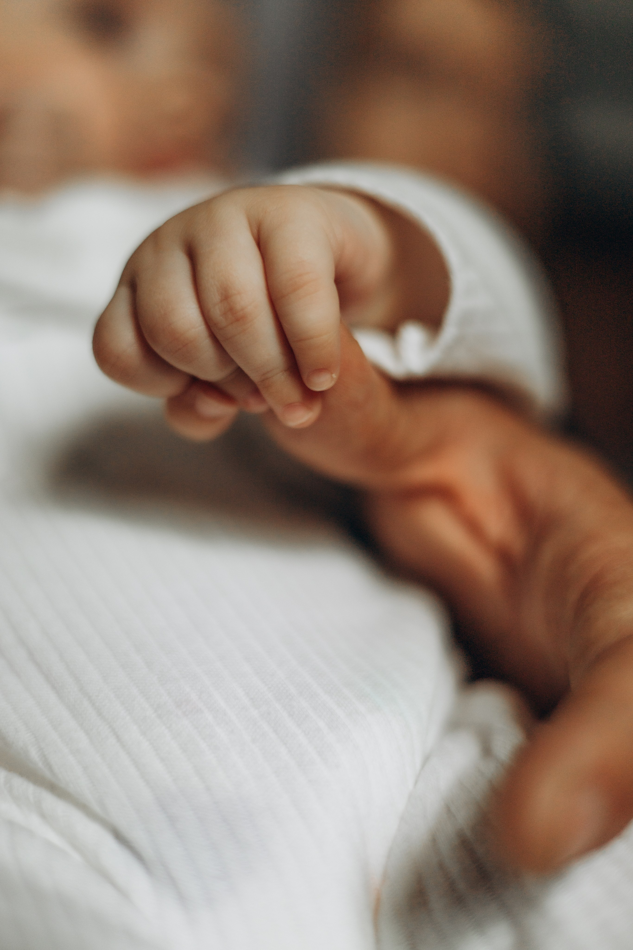 Розовка. Семейный фотограф Донецк