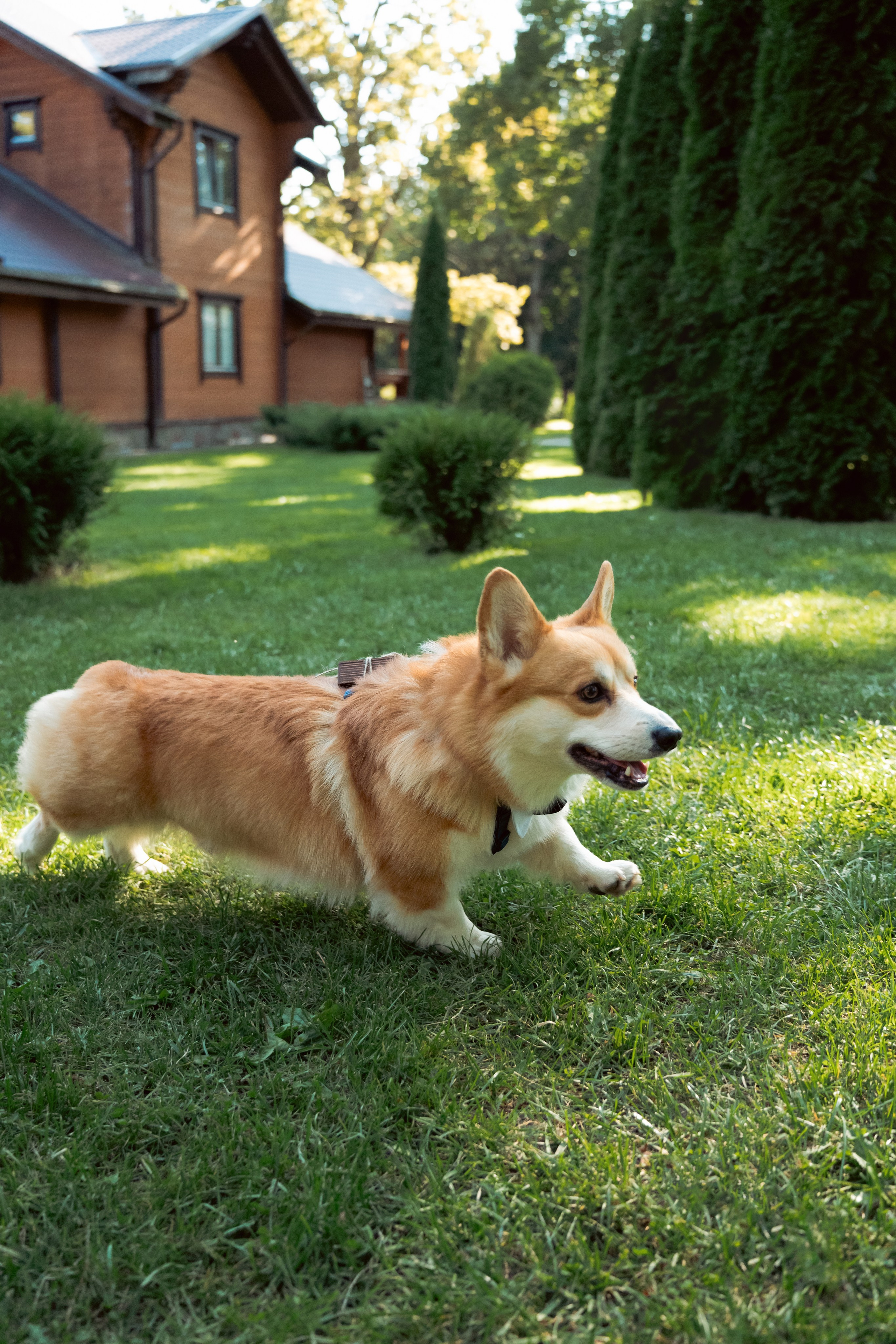 EP. Свадебный фотограф