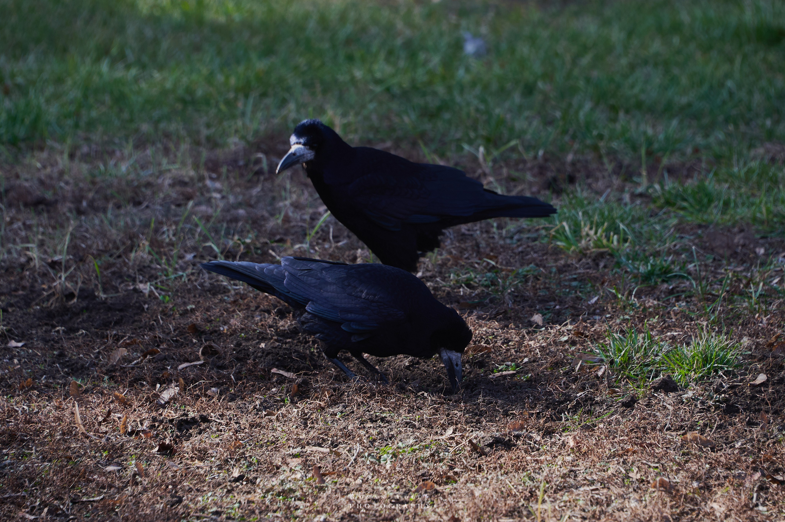 Донецк. Февраль 2024. Фотограф Роман Адлер