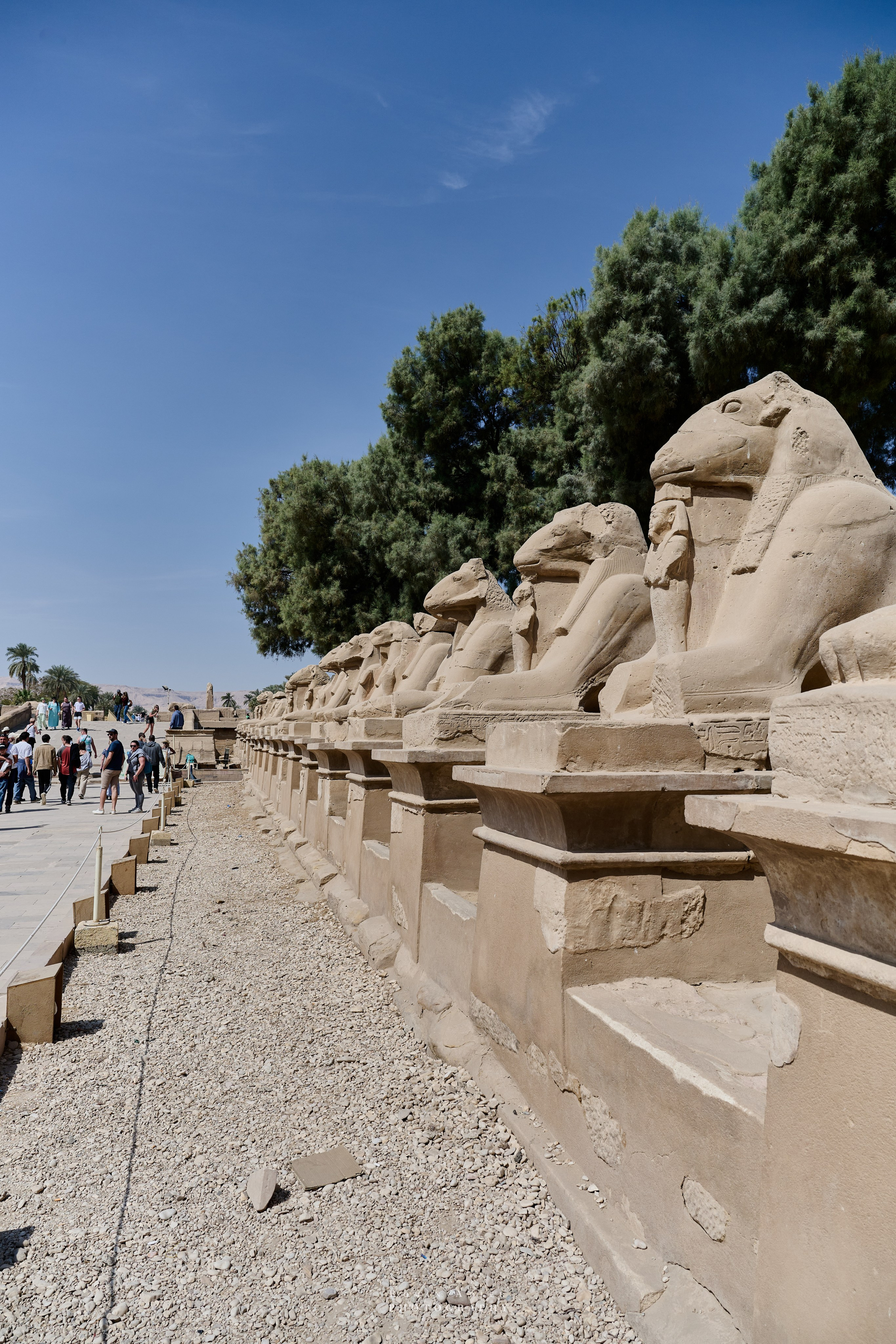 Луксор. Февраль 2025. Фотограф Роман Адлер