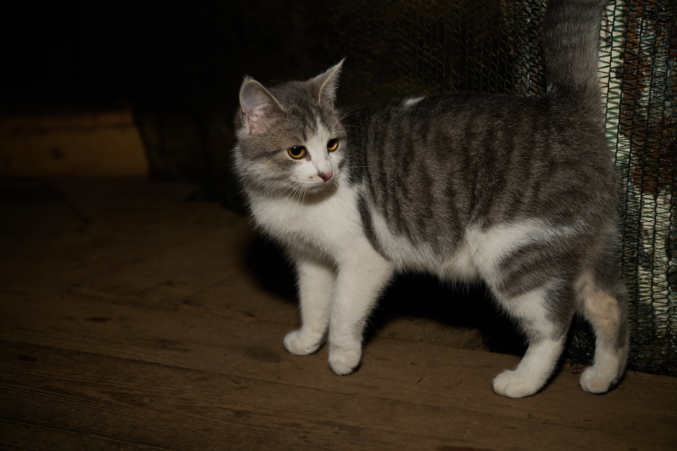 Съемки для фотопроекта Территории. Фотограф Роман Адлер