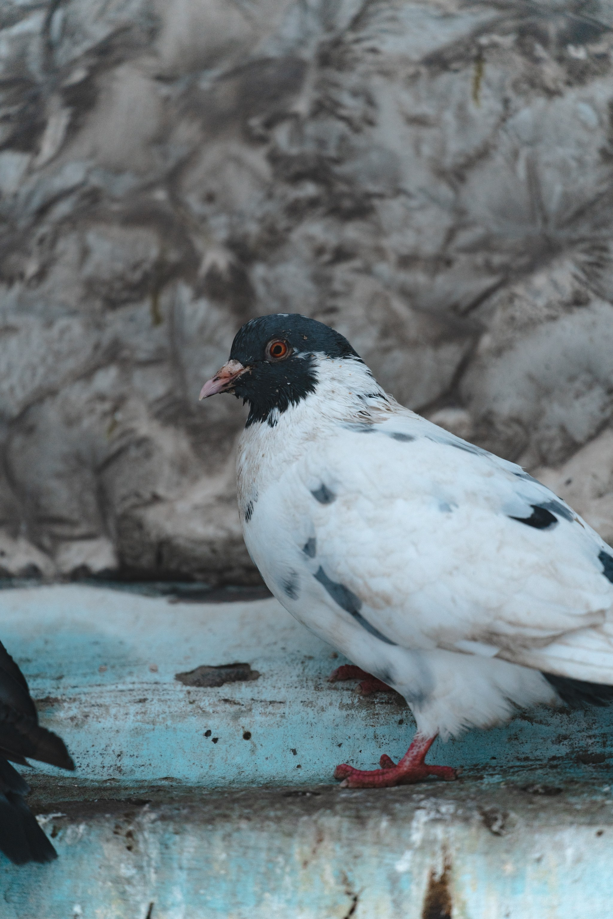 Воркута, Октябрь 2024