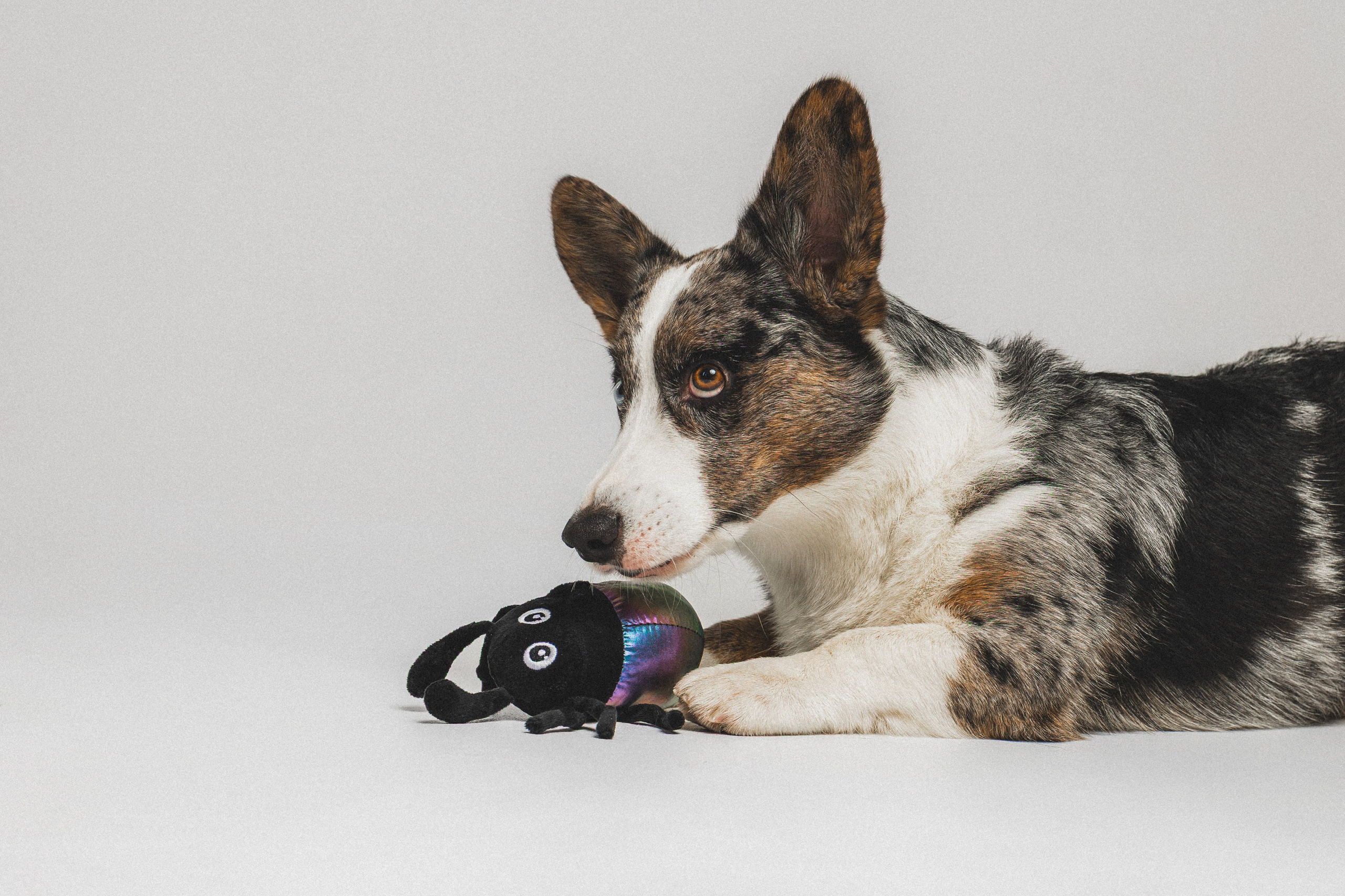 Анатолий и Рагнар