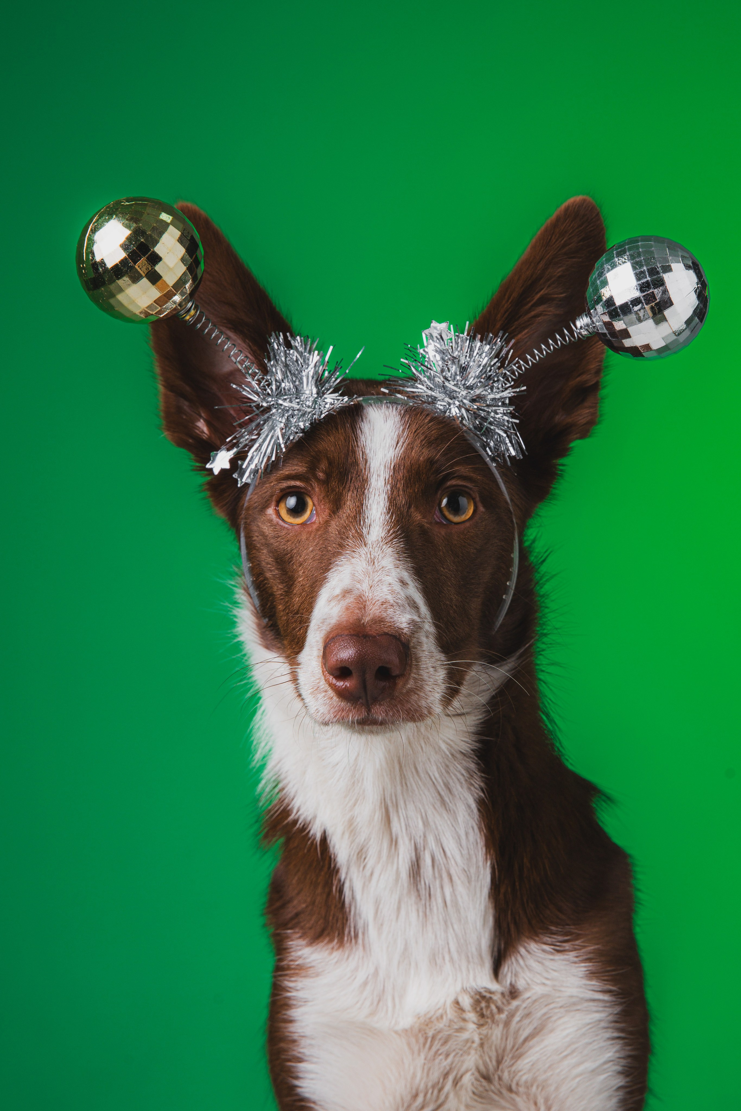 Воркшоп по импульсному свету