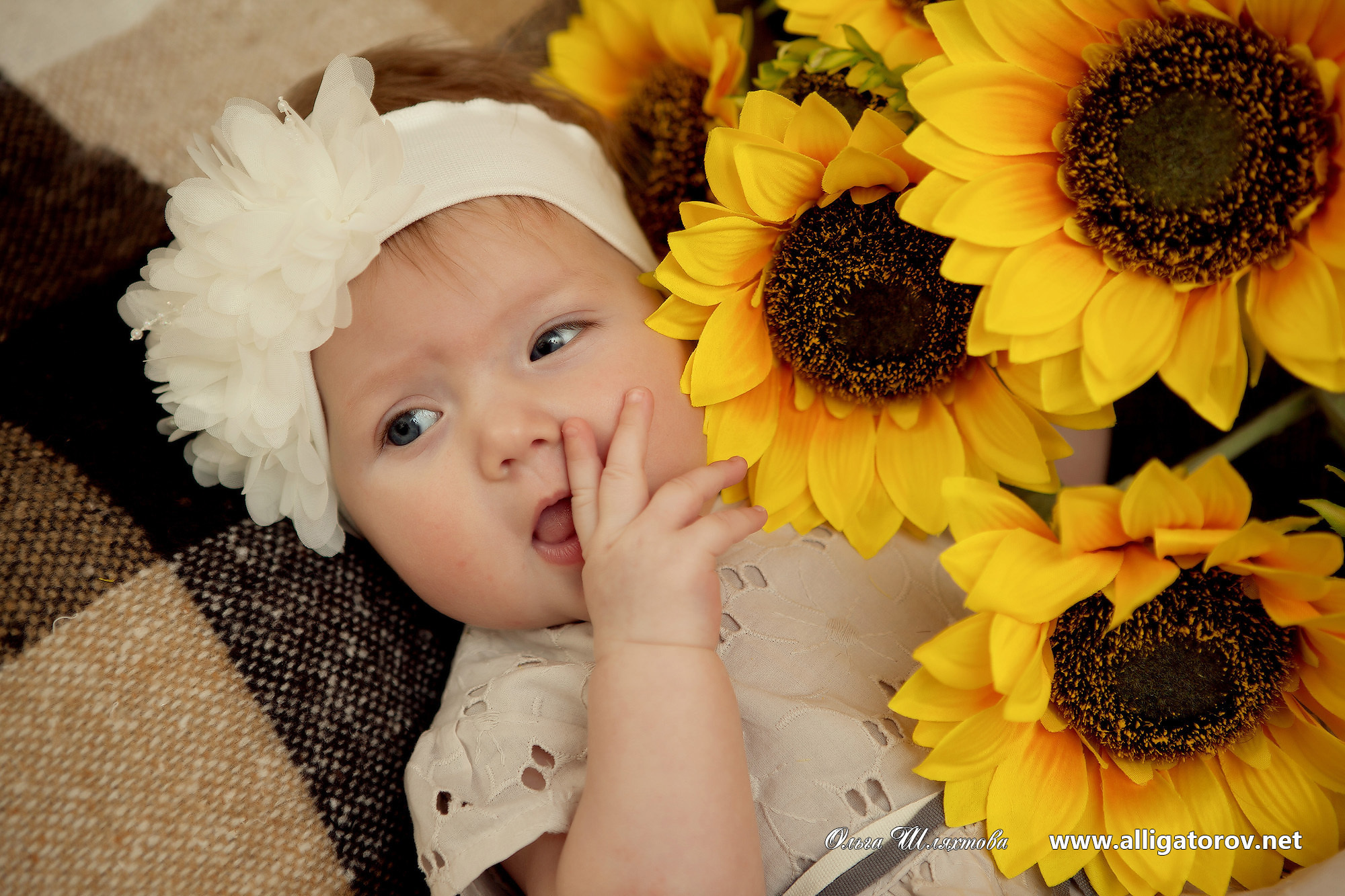 Семейные фотосессии в Краснодаре