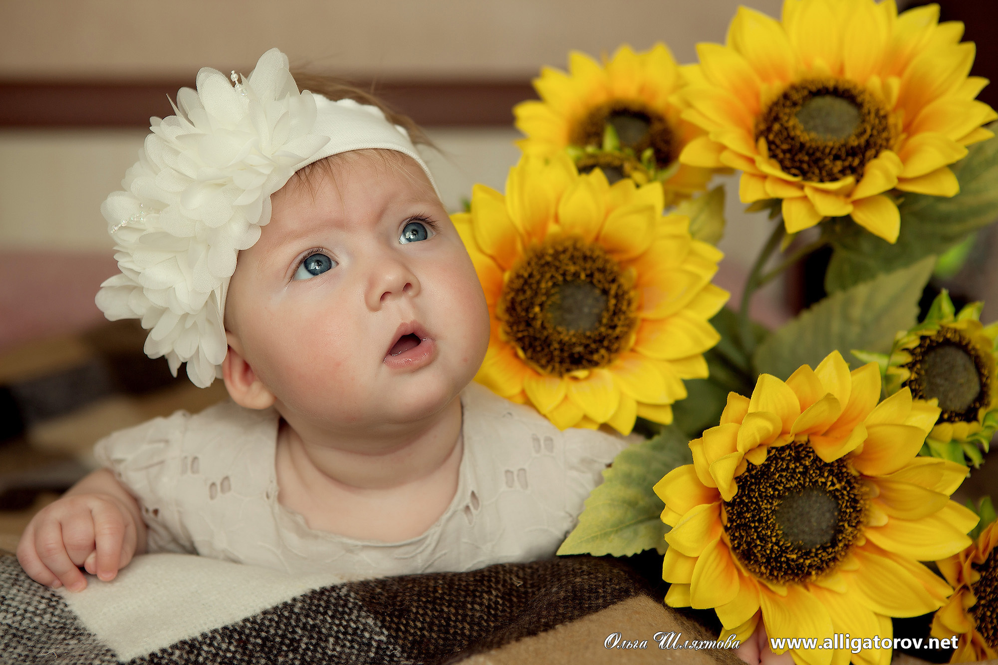 Семейные фотосессии в Краснодаре