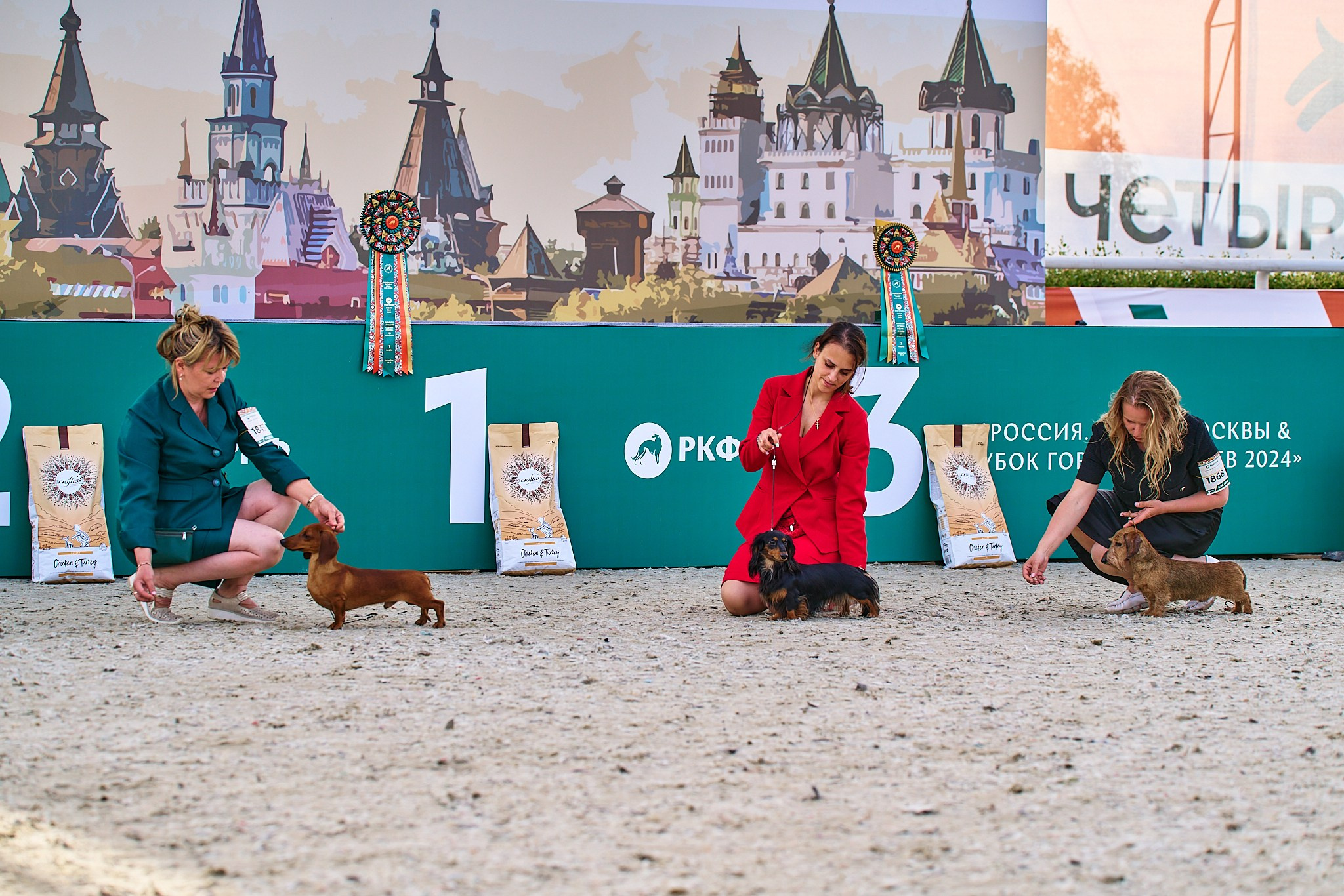 08.06.2024 «РОССИЯ. КУБОК РКФ 2024»