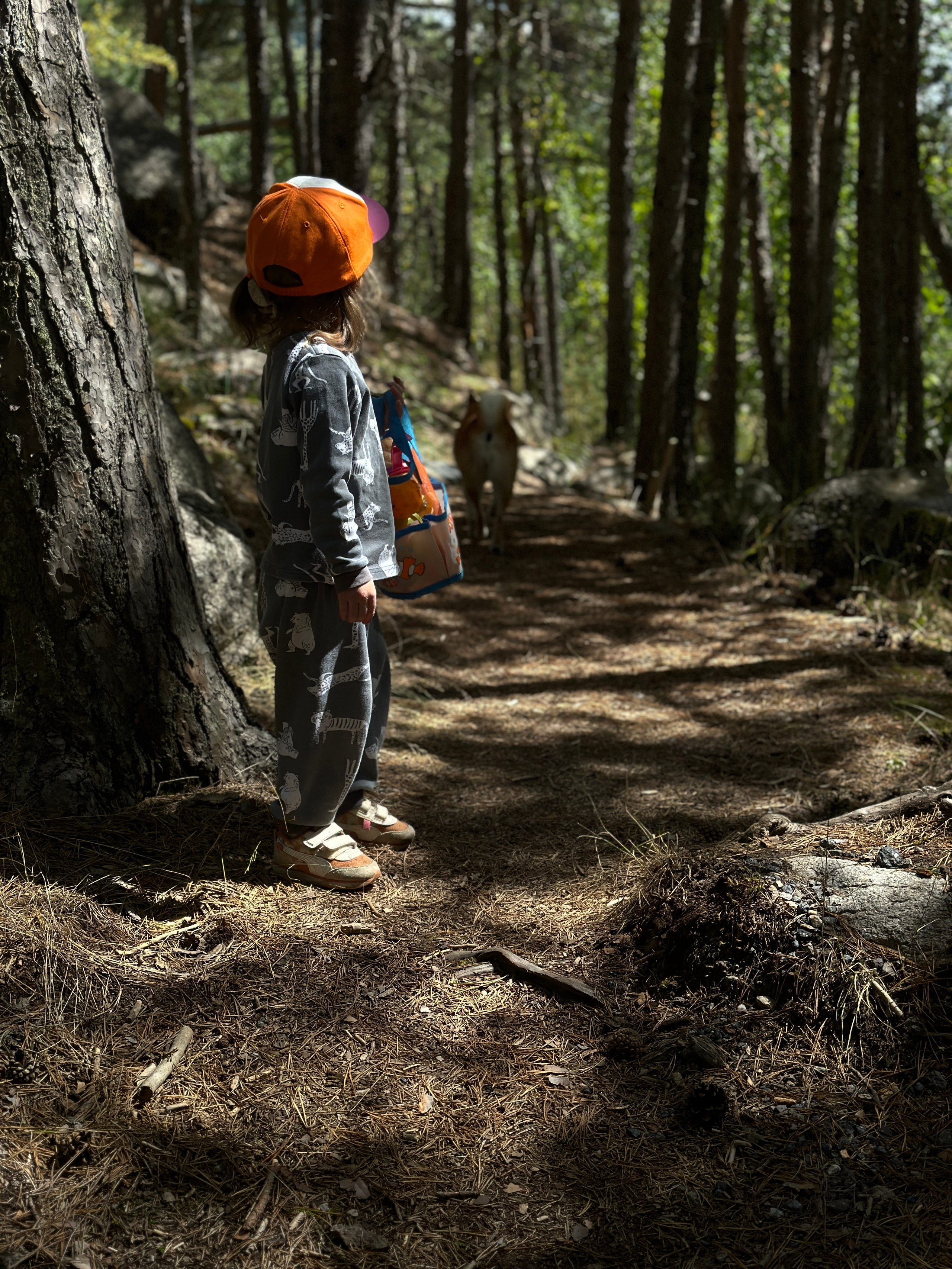 Дети. Смотри, красота!