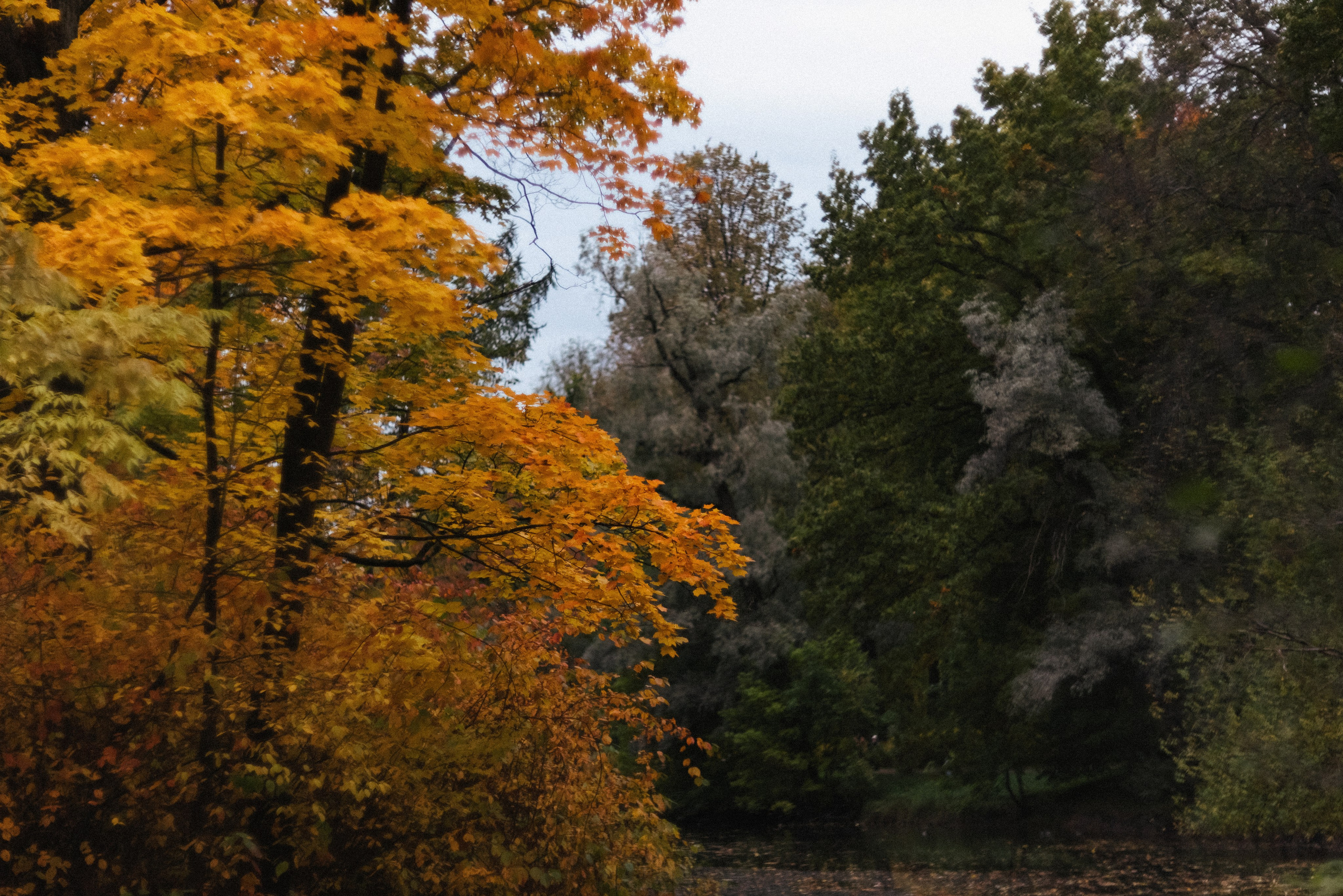Autumn. Свадебный фотограф Санкт-Петербург DanyaPhotoart