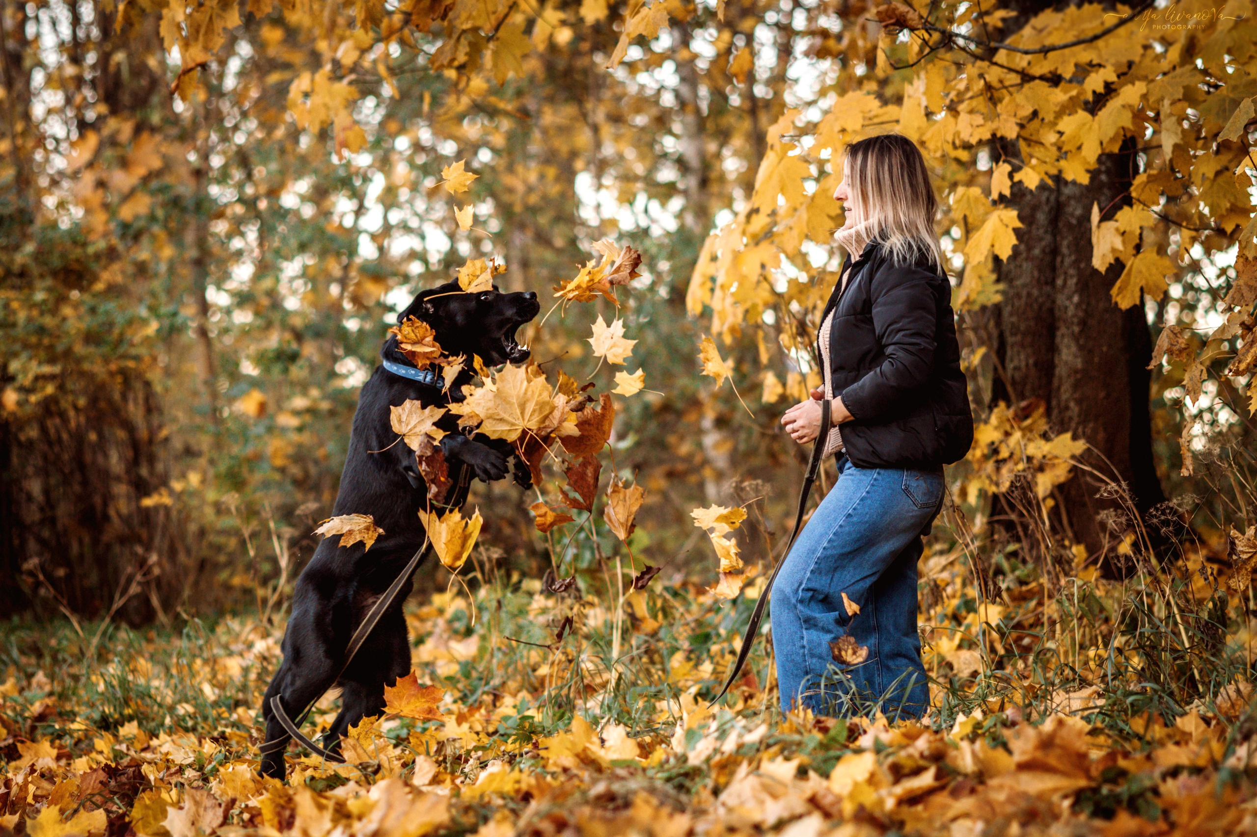 Оскар и его семья в парке. Фотограф анималист Аня Ливанова | Рыбинск