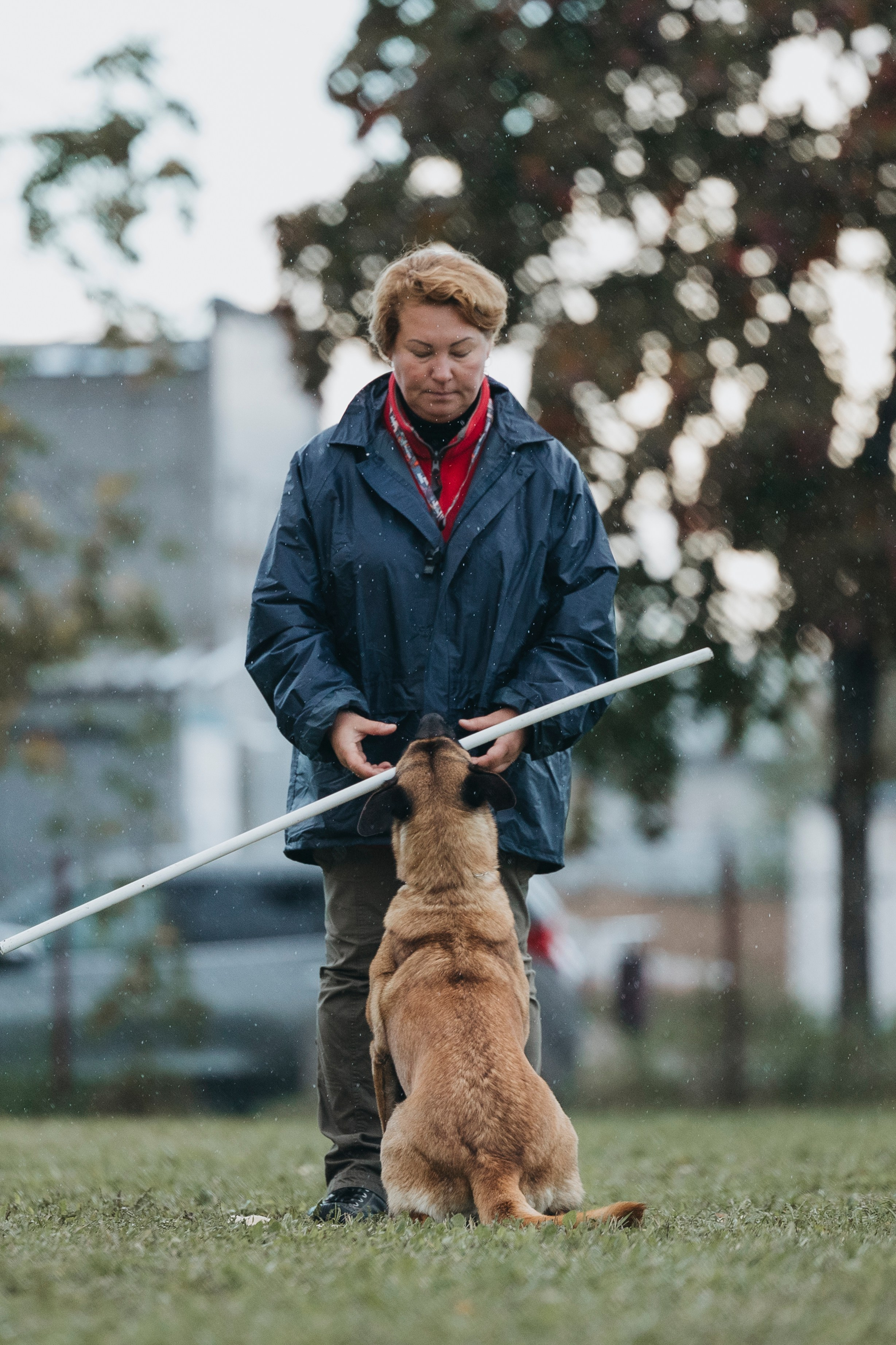 Испытания по мондьорингу г. Пушкин 29.09.2024. Фотограф-анималист Анна Маринич
