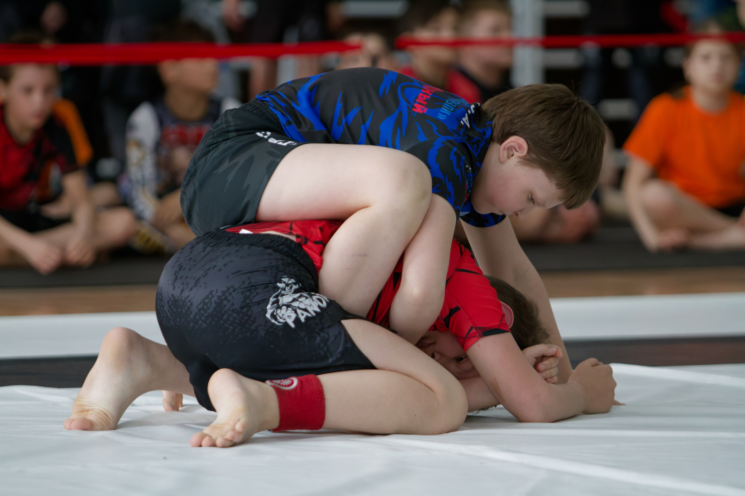 Борьба. Джиу-джитсу 26.04.2025. Репортажный и спортивный фотограф в г. Пермь Зильберг Павел