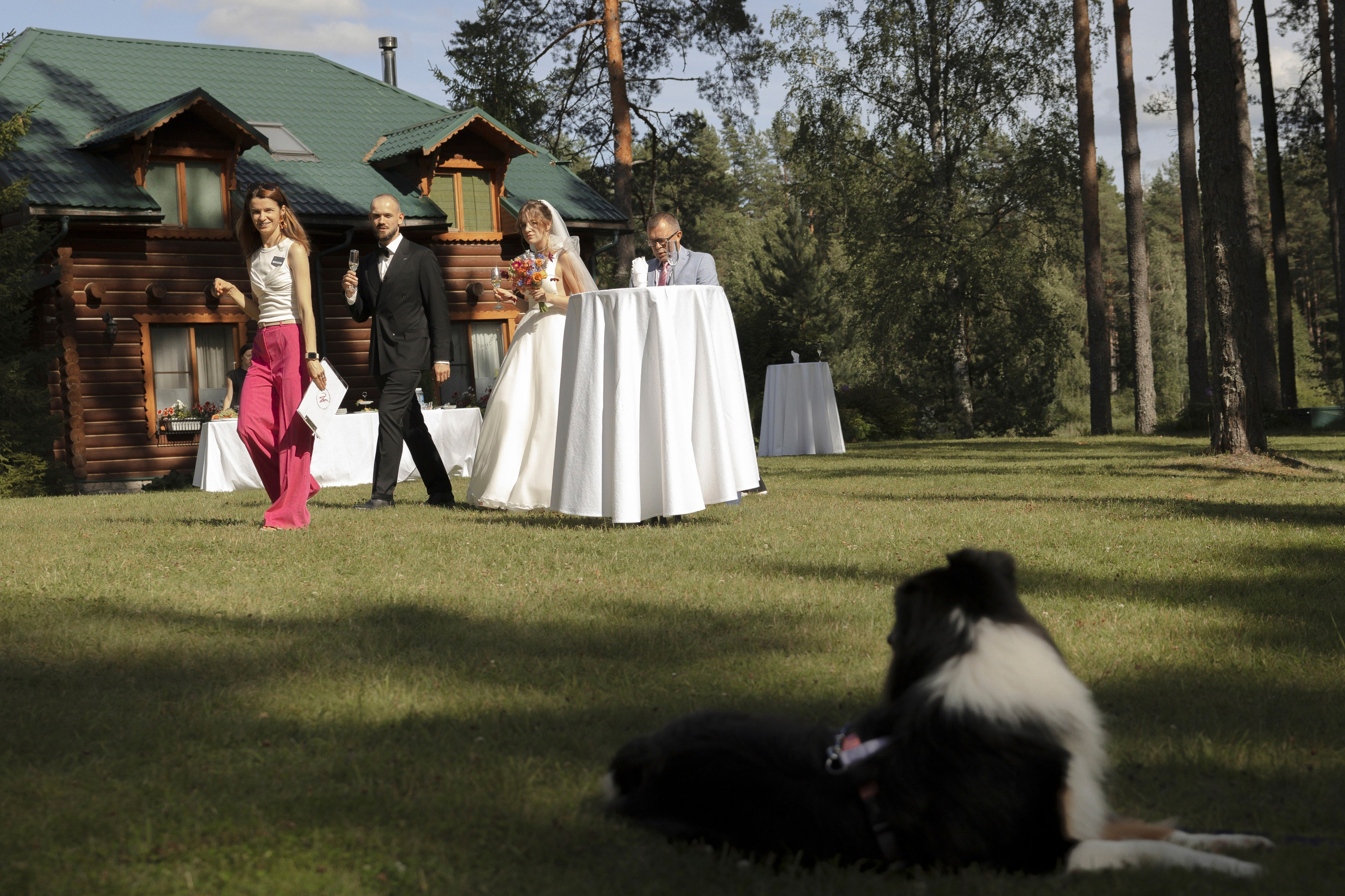 Mamma Mia! (Игорь & Катя). Wed Photographers 📷 Saint Petersburg