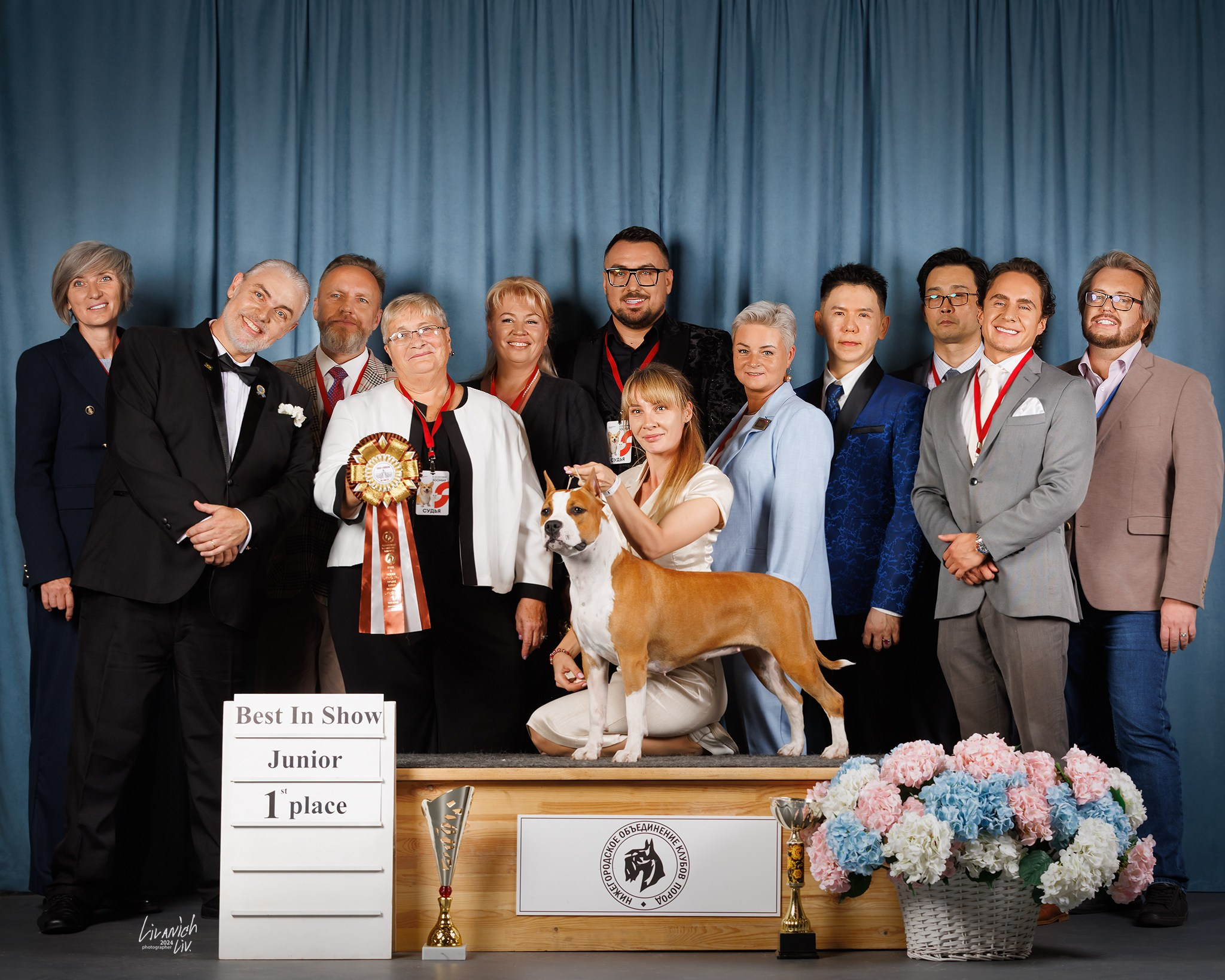 Выставки. Фотограф для вашей собаки