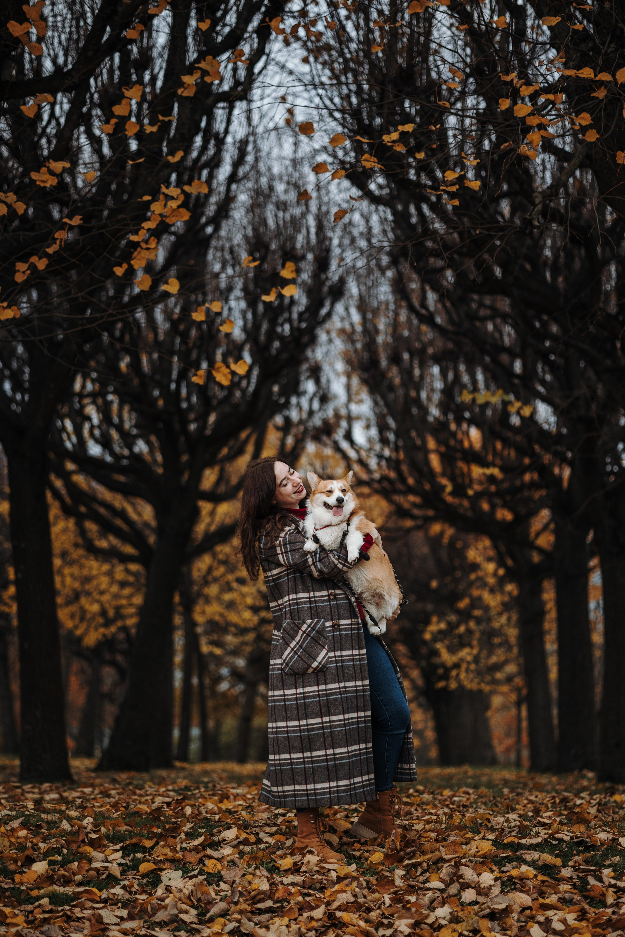 Юля и Терри. Фотограф — Анималист | Санкт-Петербург