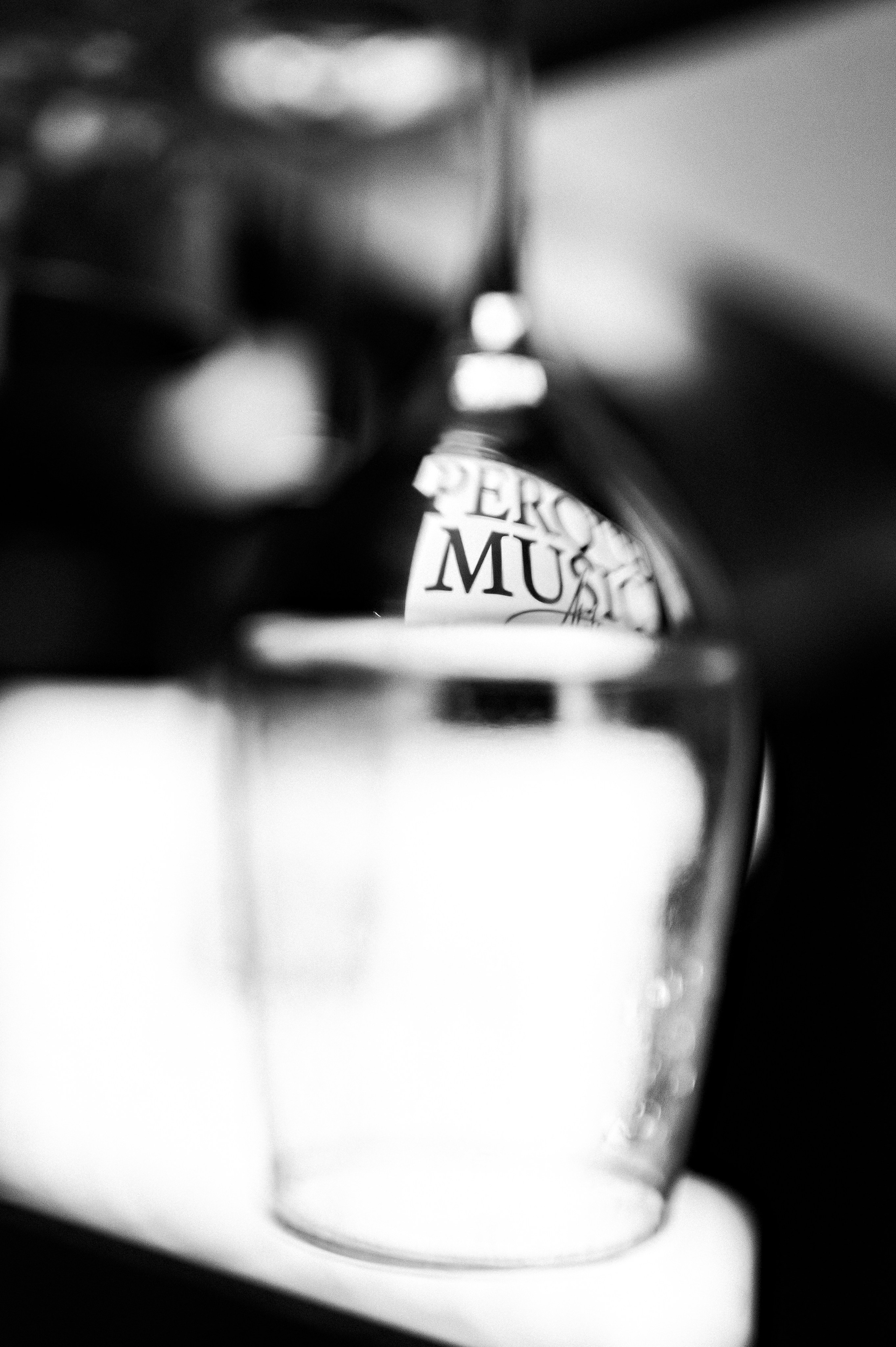 Светская хроника. Портретный фотограф Полина Ельшина