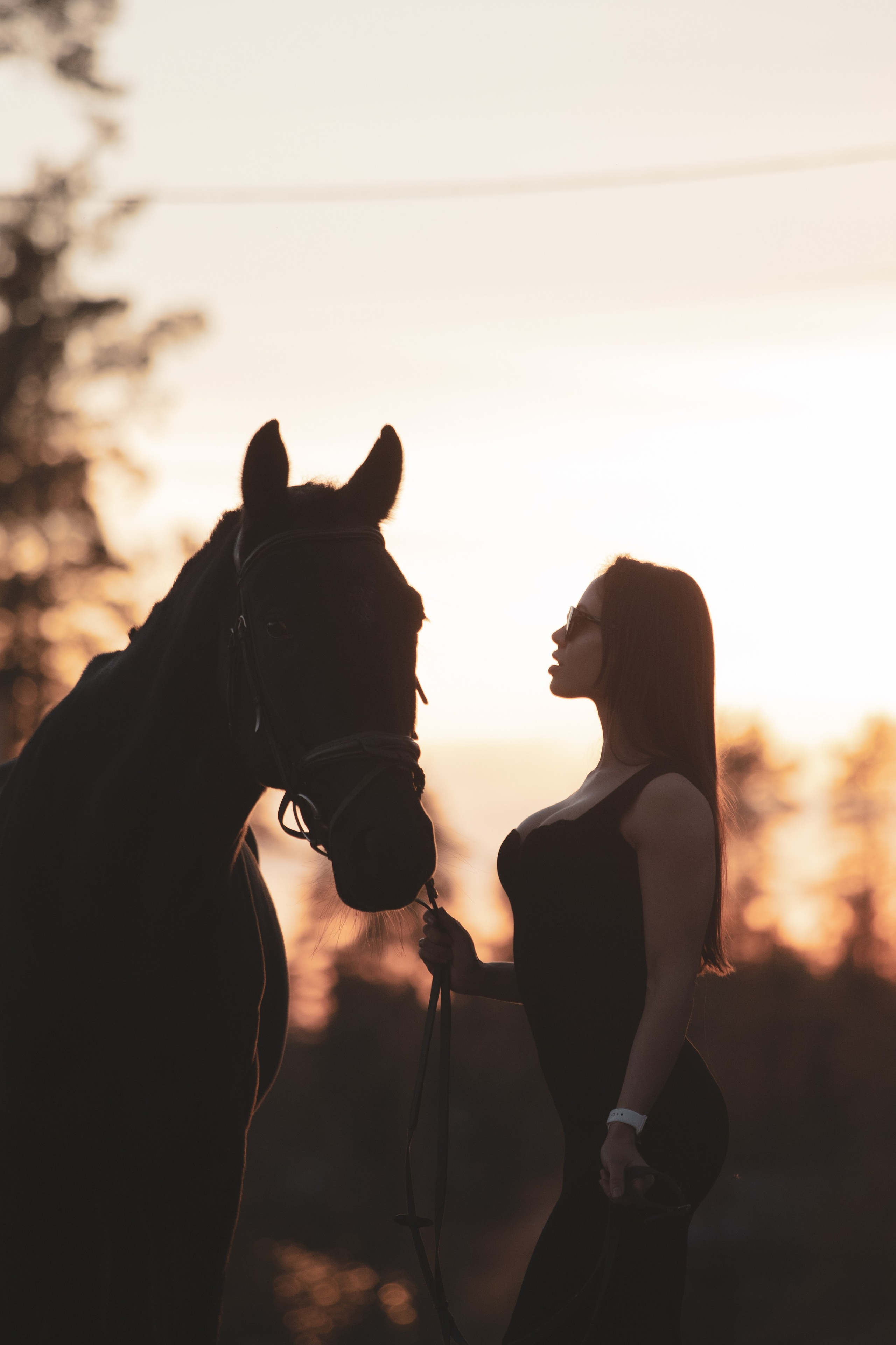 Художественные фотосессии. Конный фотограф в Санкт-Петербурге Анна Лебедева
