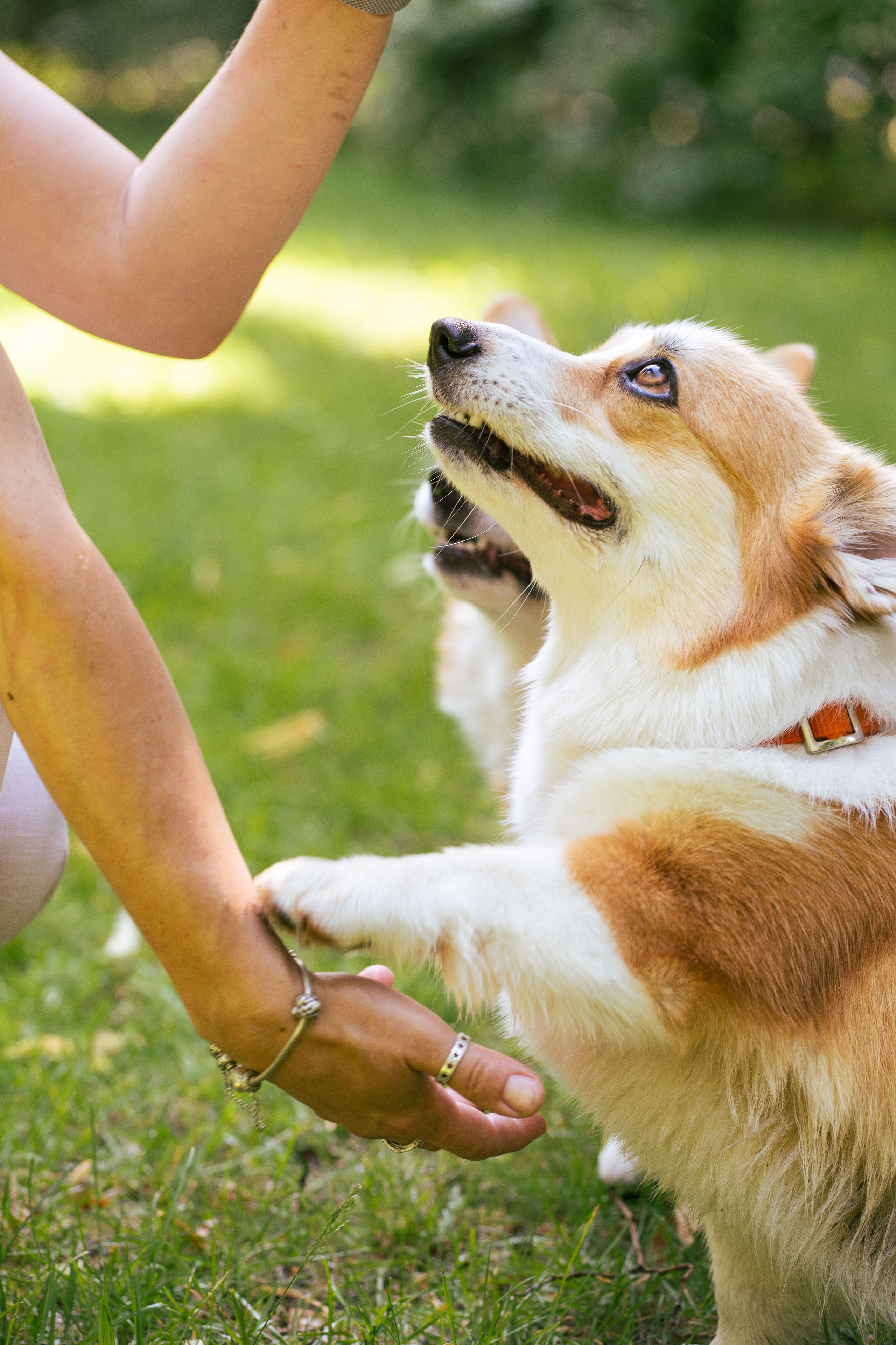 Ольга и коржики. Свадебный фотограф в Москве Анна Полушина