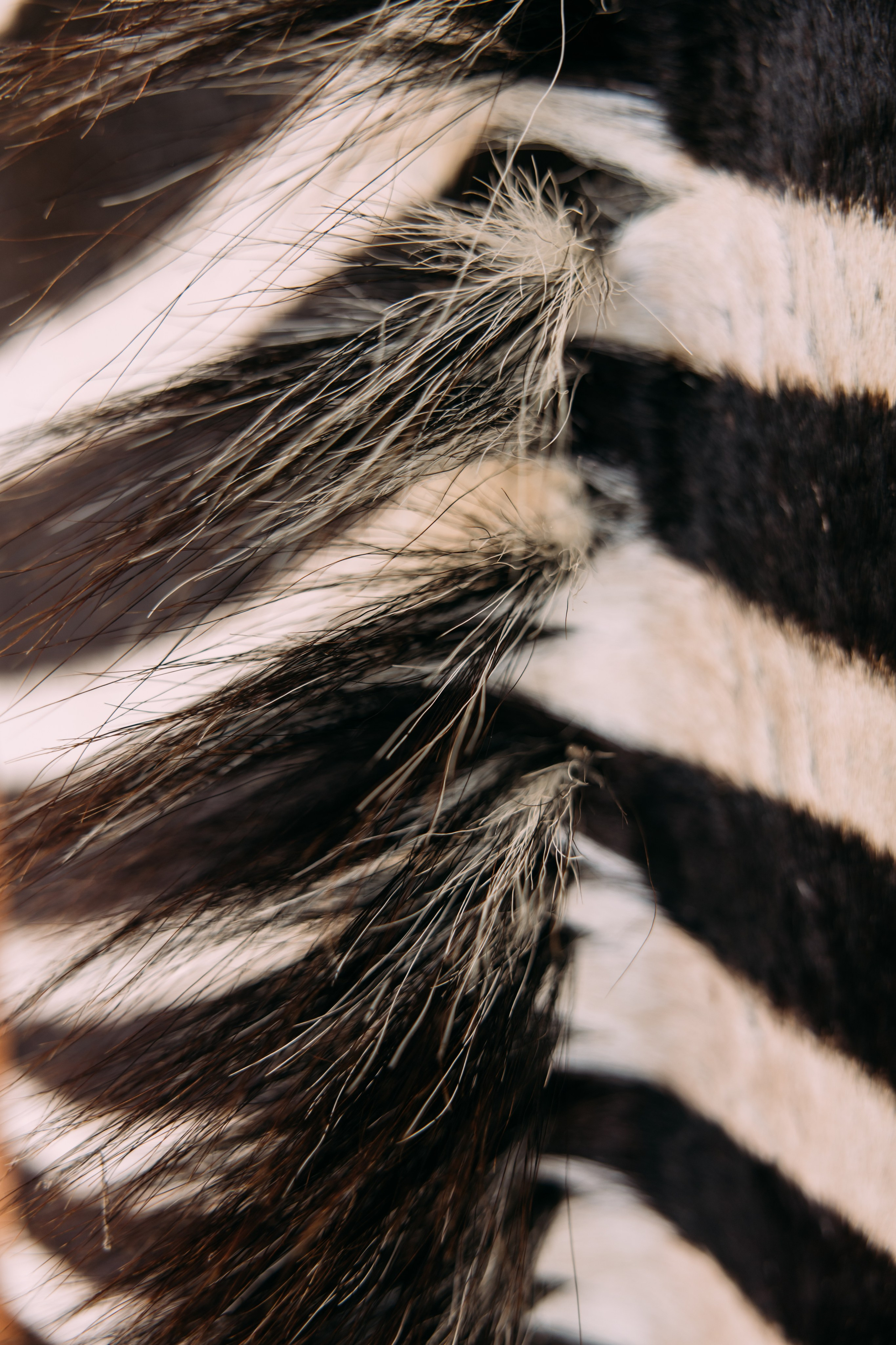 ФОТО ТУРЫ ПО МИРУ. Фотограф Марина Аблаева-Кожедуб