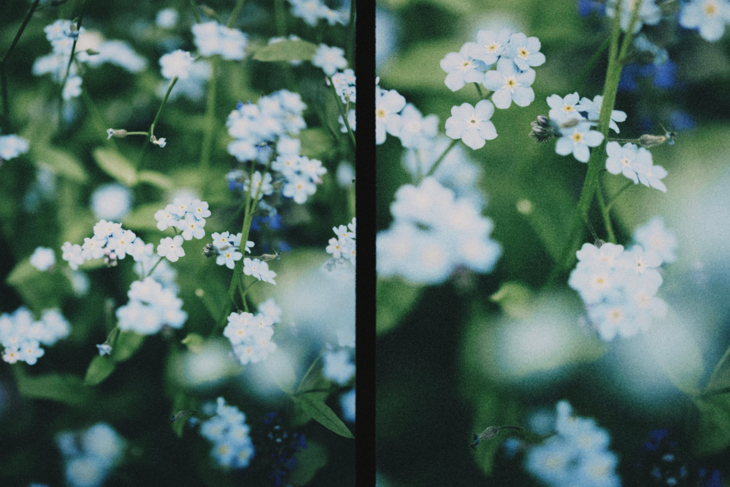 Портретный фотограф Дорошко Анастасия