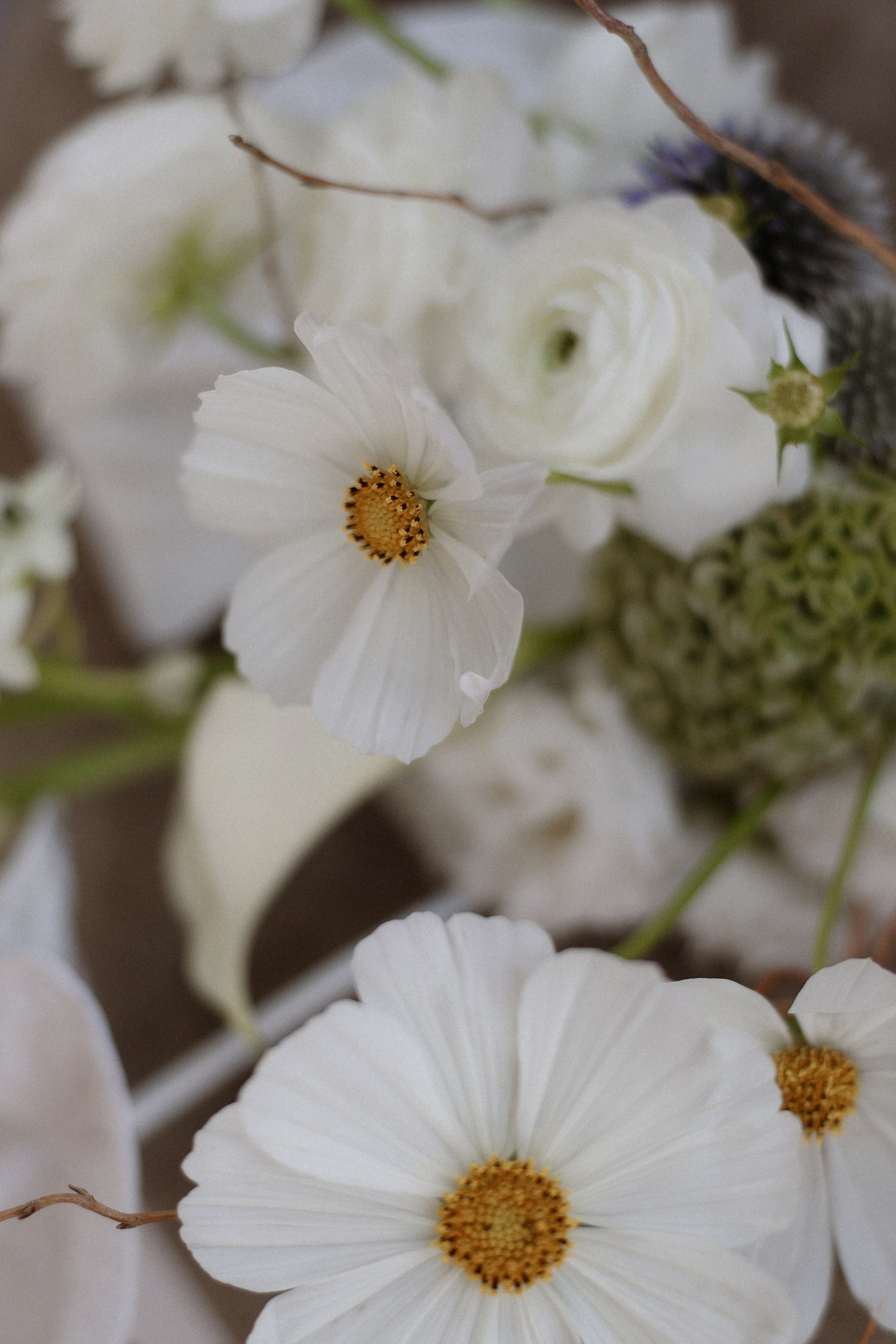 «Я люблю тебя просто так» — Евгения и Влад. Свадебный и семейный фотограф в Москве Ломова Ирина