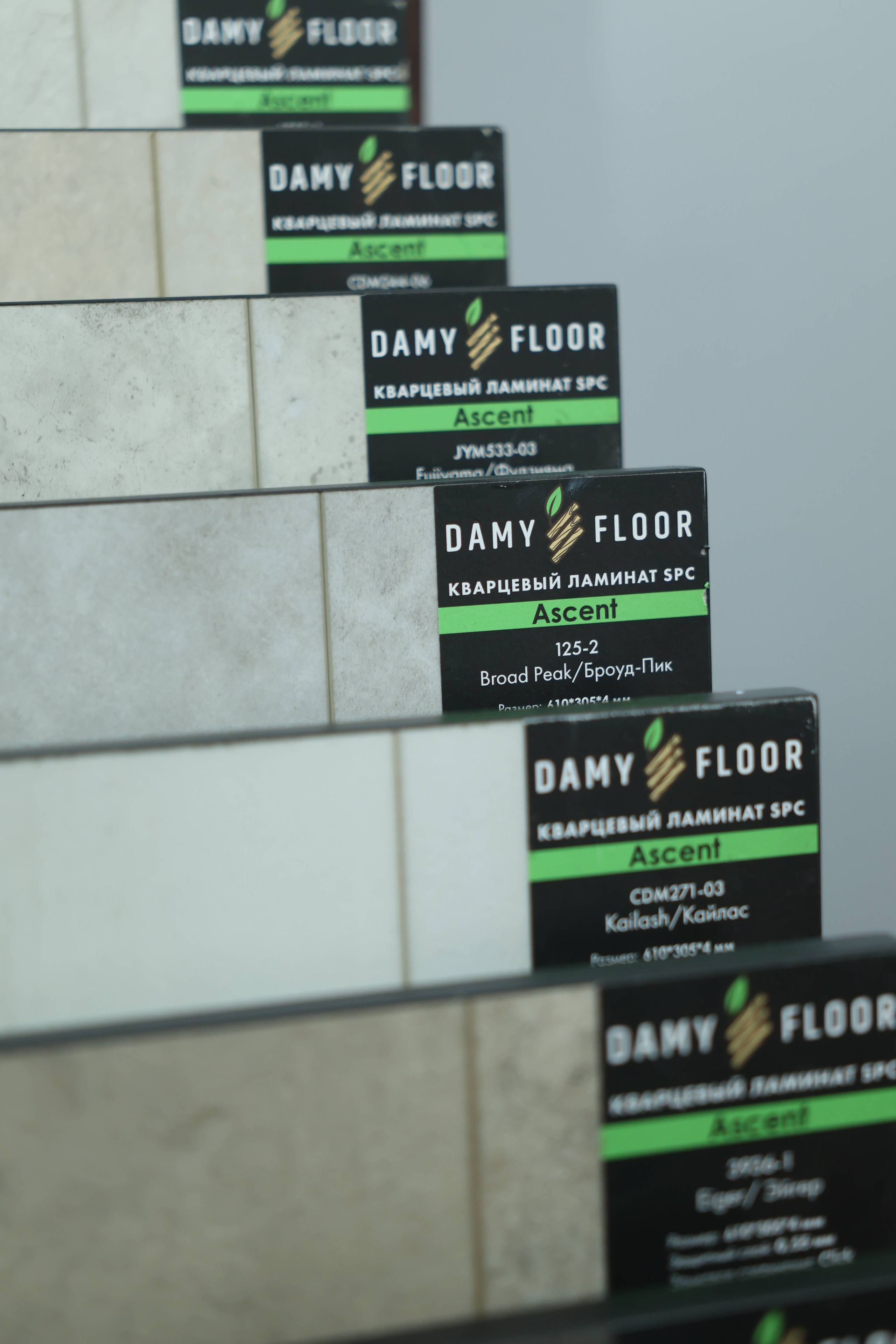 Damy Floor