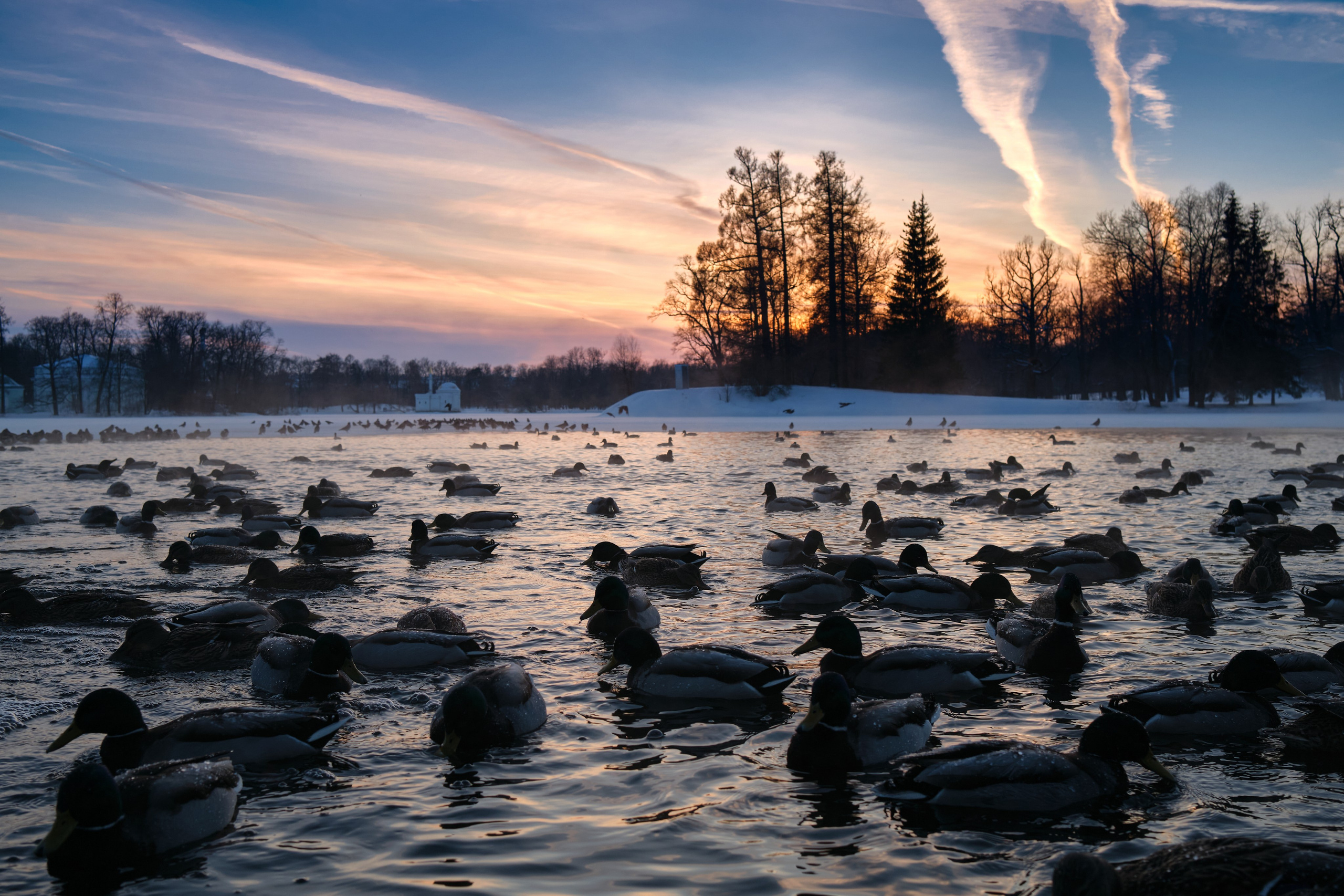 Времена года. Пейзажи Крайнего Севера. Баренцево море, Рыбачий, Средний, Немецкий