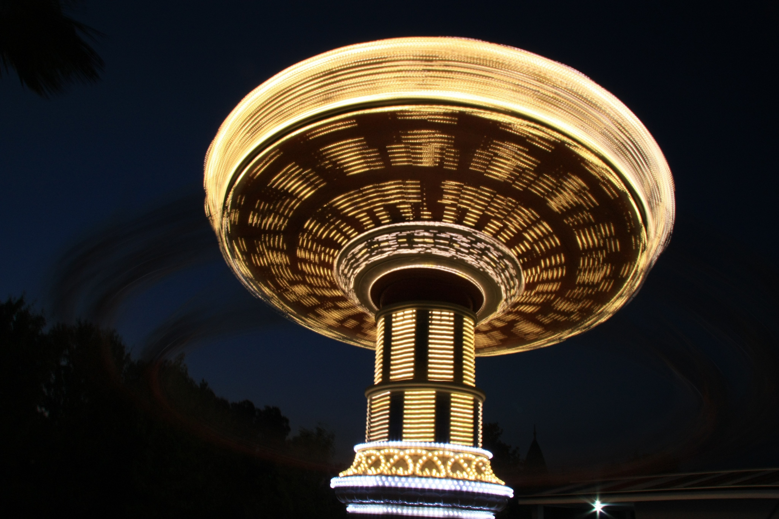 Первые кадры. Сочи — парк. Фотограф Роман Адлер