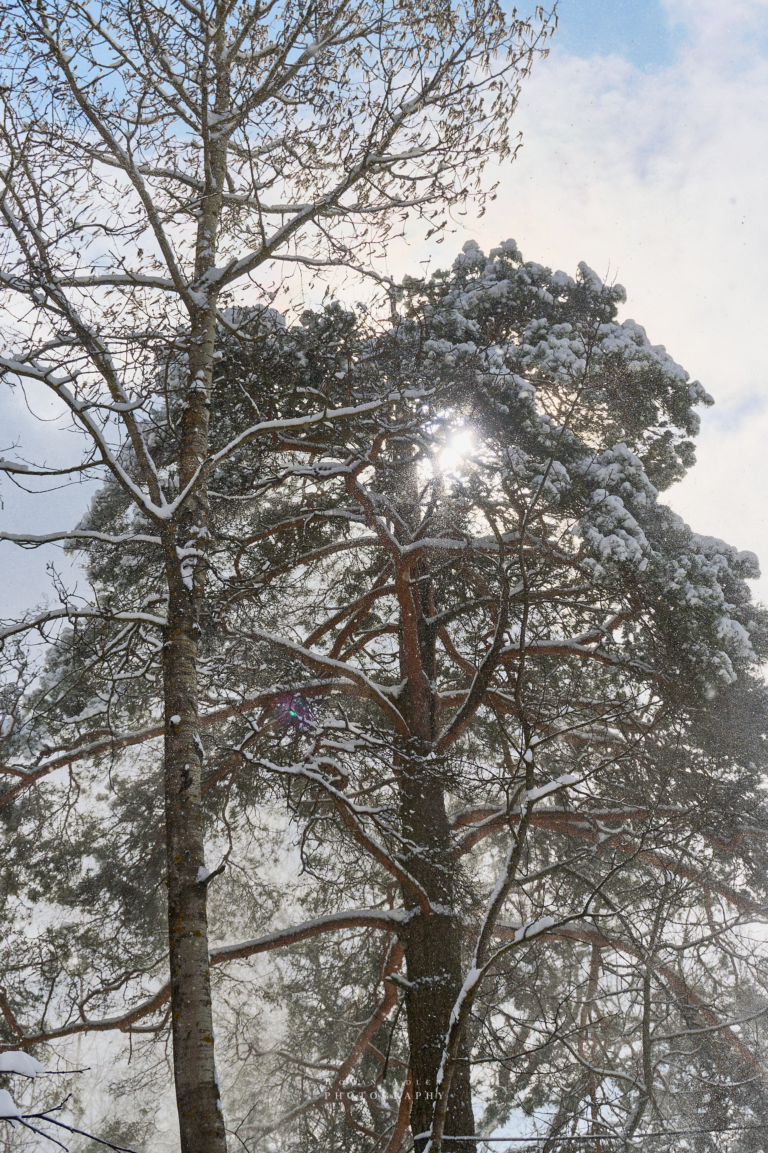 Апрельский снег. Москва 2025. Фотограф Роман Адлер