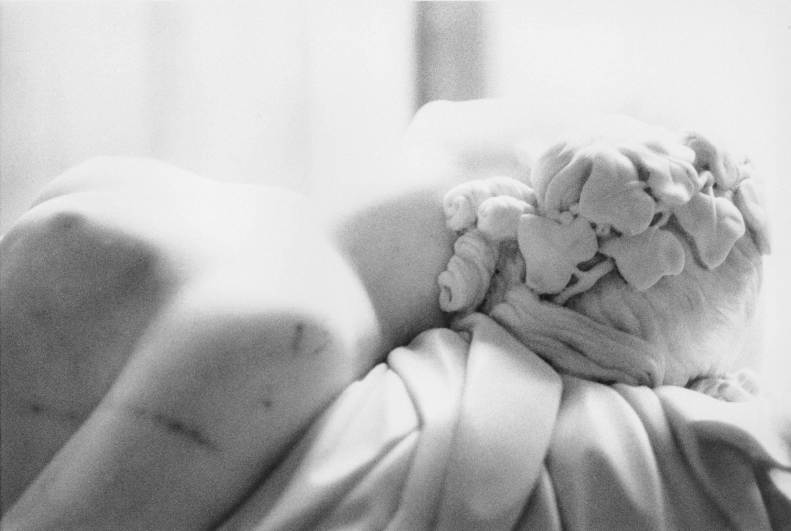 Paris Photo. Елена Цихон художник фотографии и мастер фото-ДНК