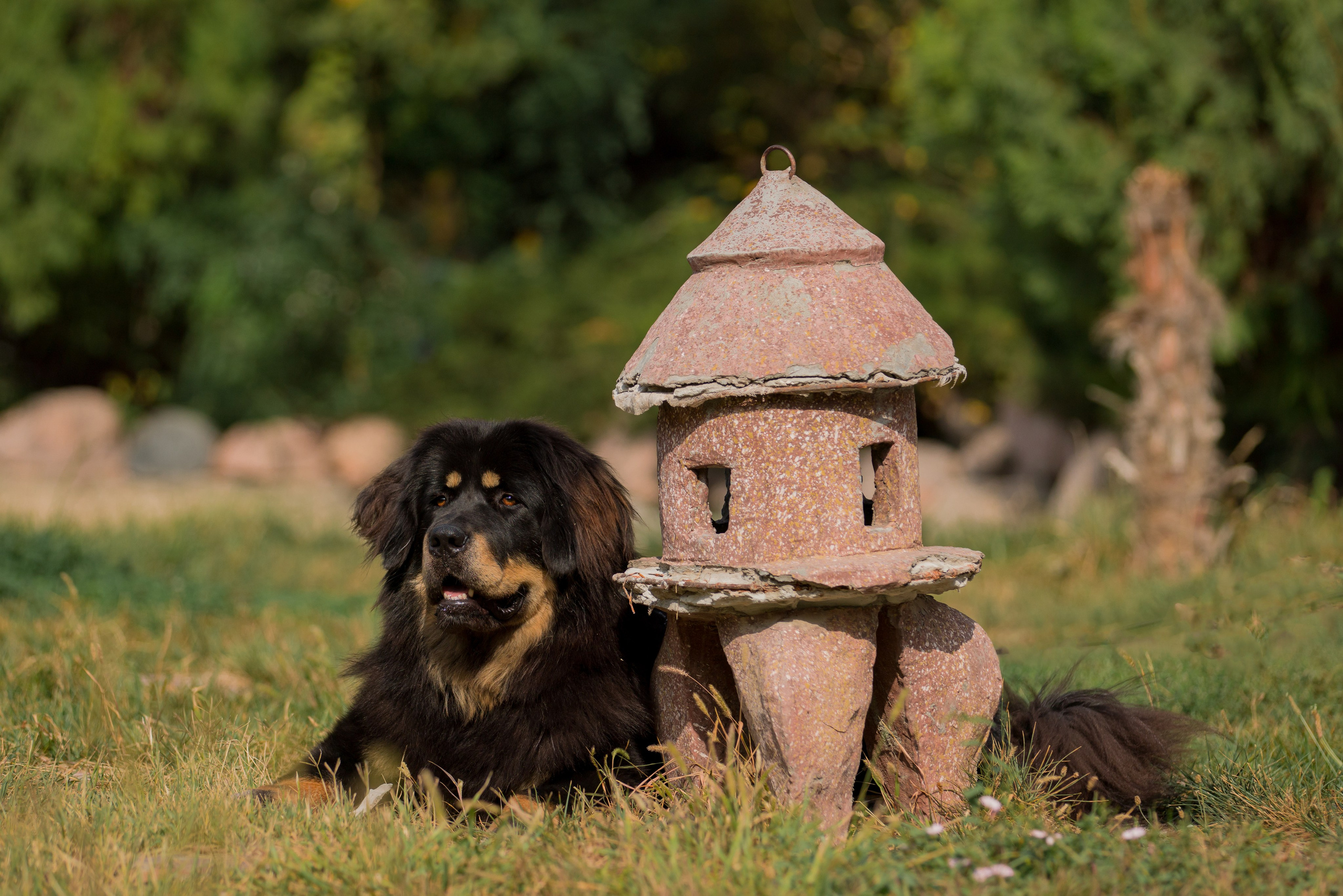 Ташкент 6-8.10.2023 + Алматы 14-15.10.2023. Фотограф-анималист Юлия Германика