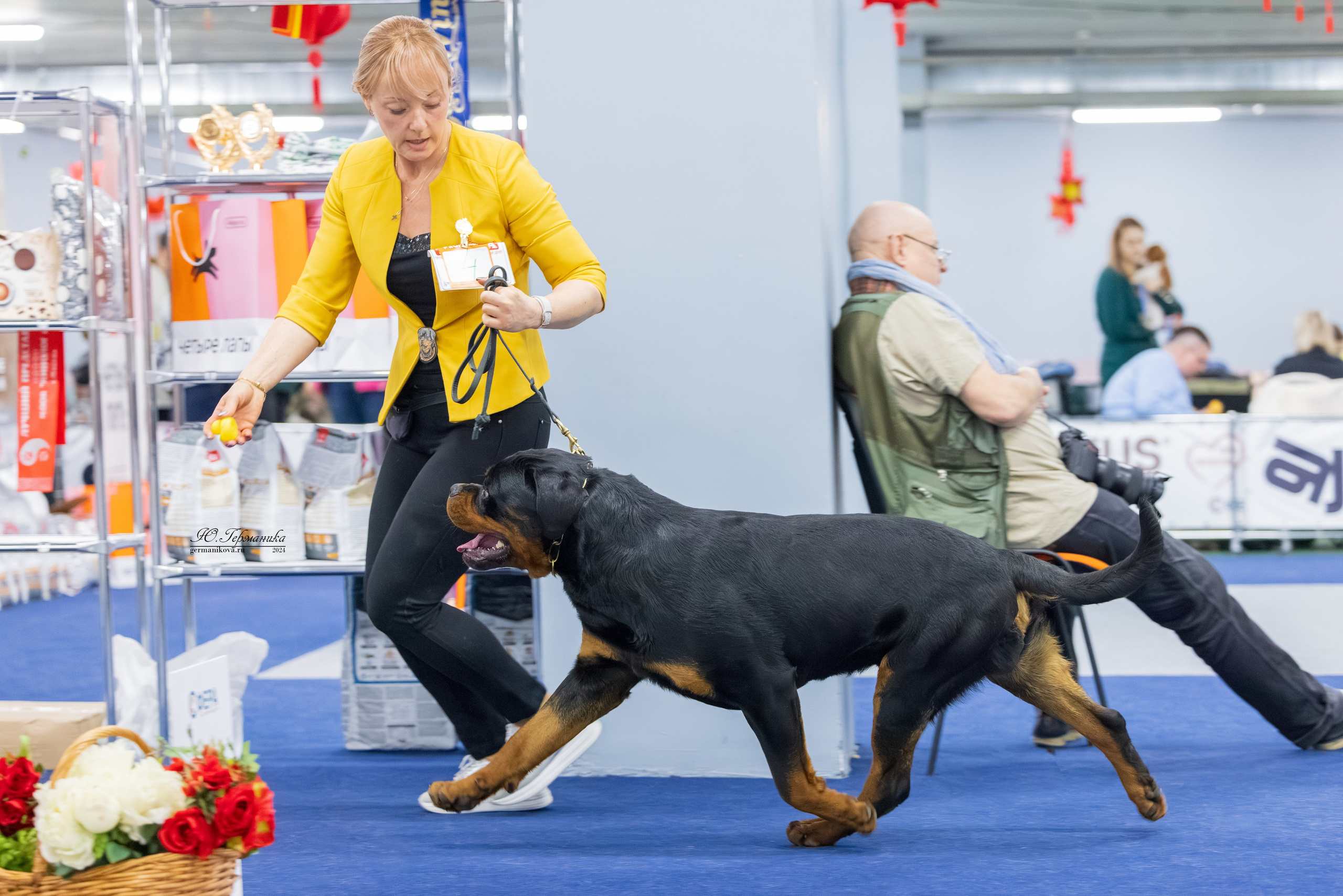 Сфера 08 и 10.03.2024 2хмоно ротвейлеров+2хмоно сао. Фотограф-анималист Юлия Германика