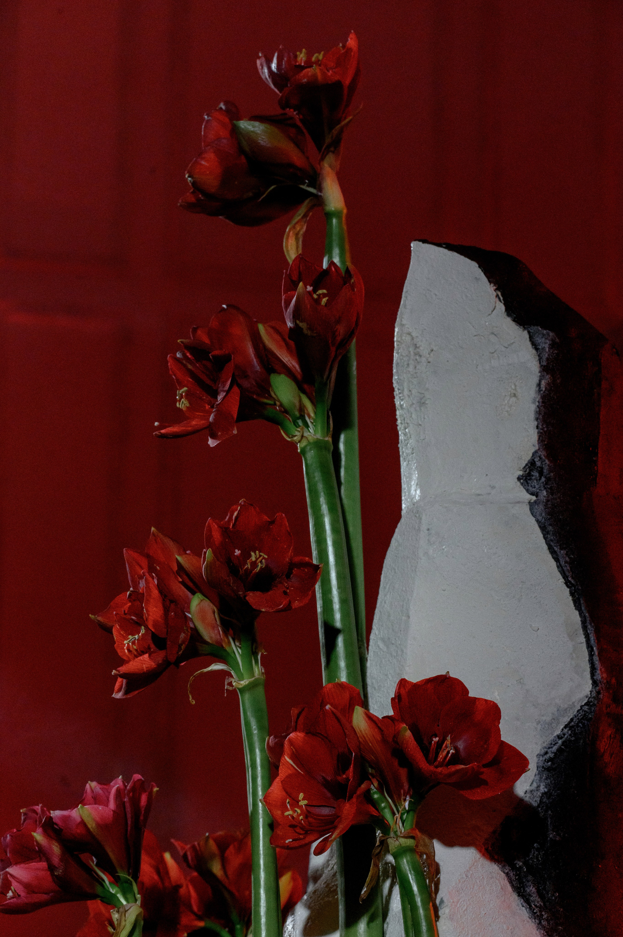 Корпоративные события. Алина Посторонка и Дима Мурашов