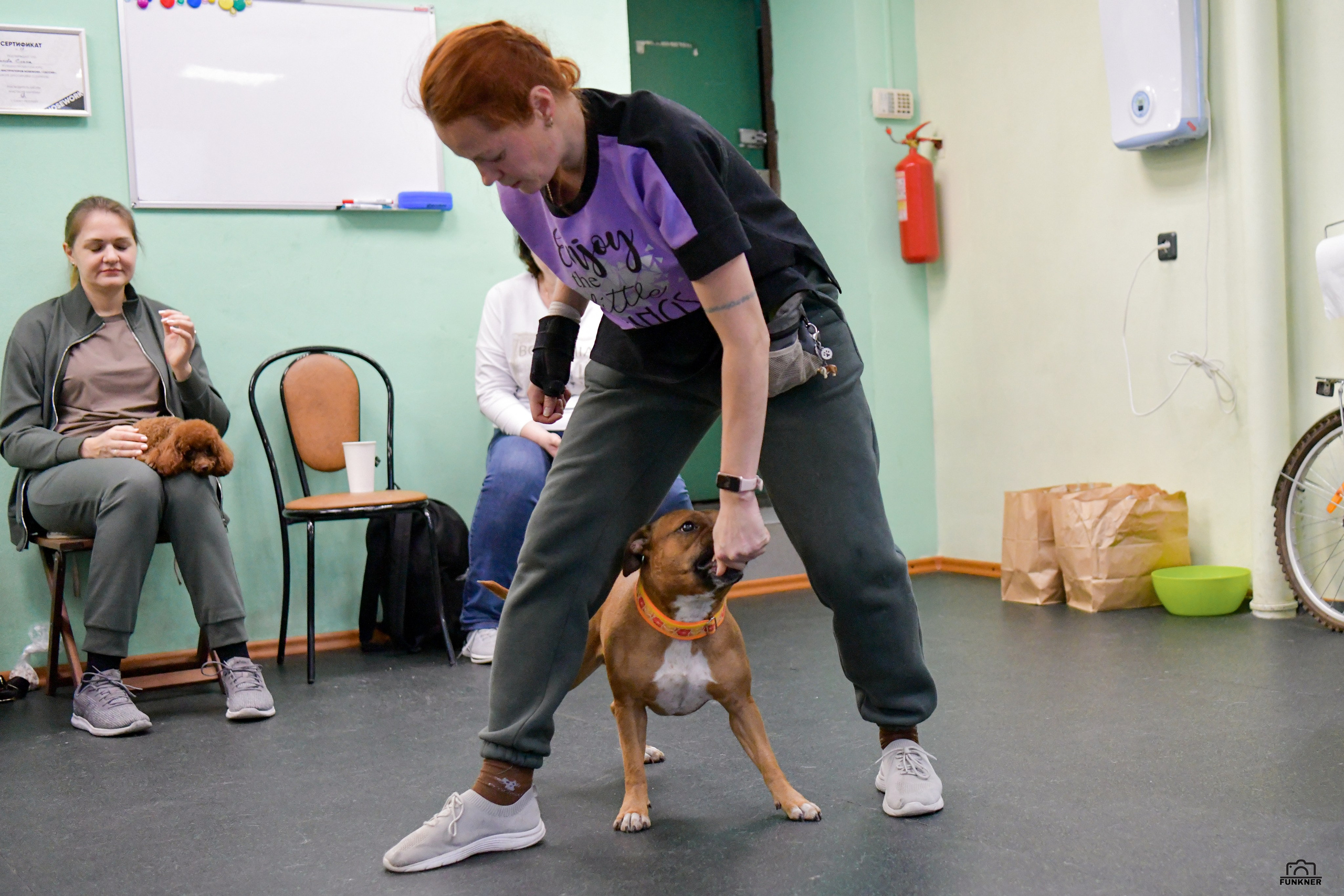 Кинологический клуб «Бодрый хвост». Свой взгляд через объектив